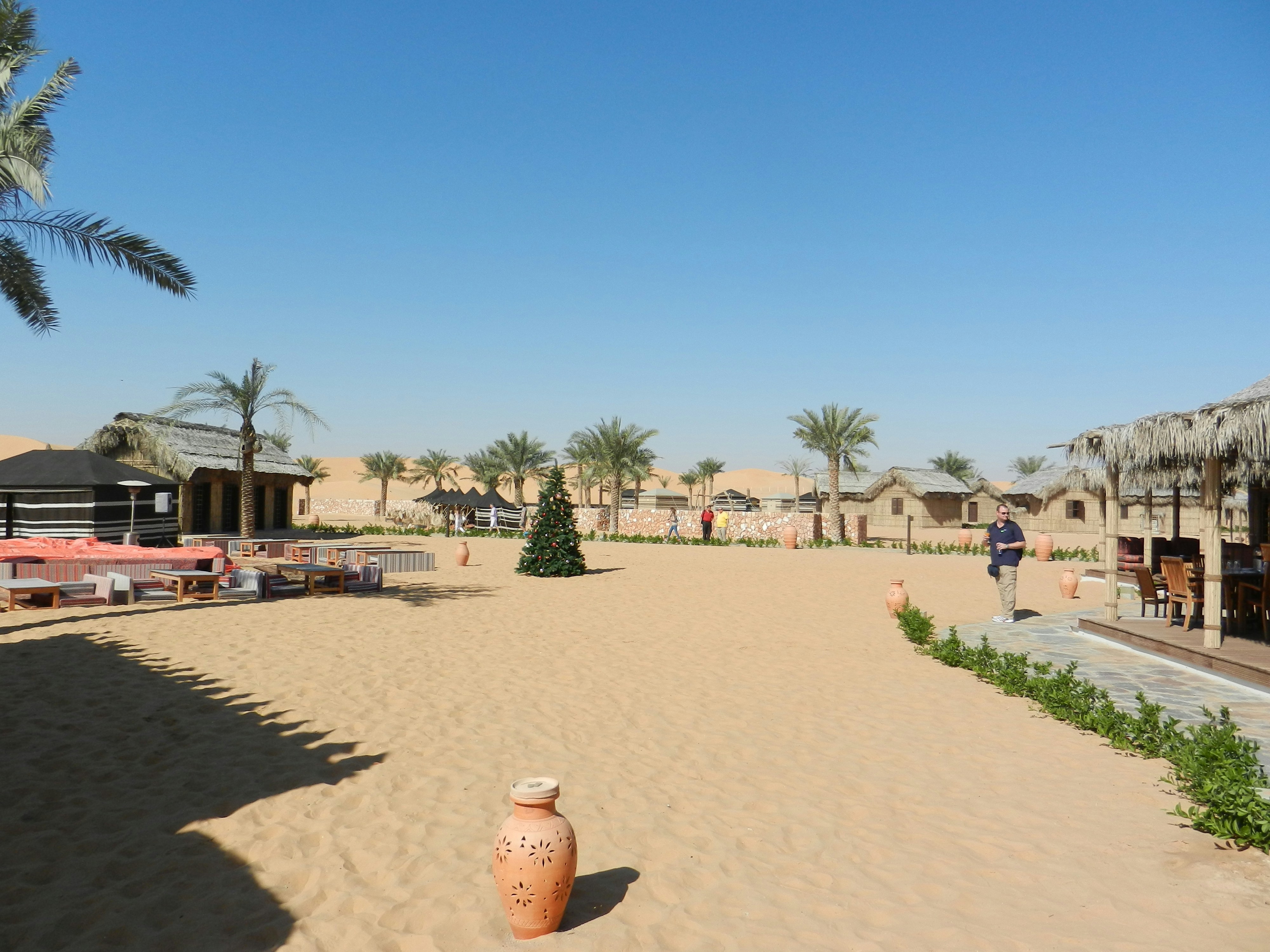 people on beach during daytime