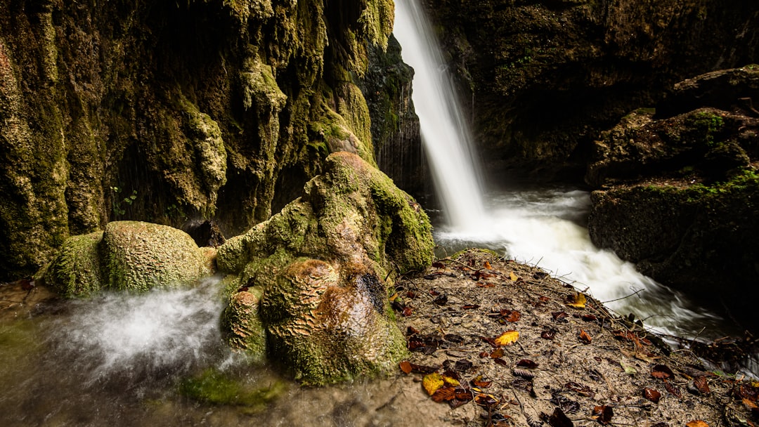 green moss on brown rock near waterfalls during daytime