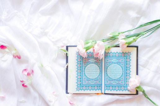 blue and green book on white textile