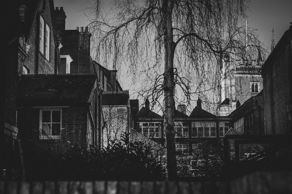 grayscale photo of house near trees