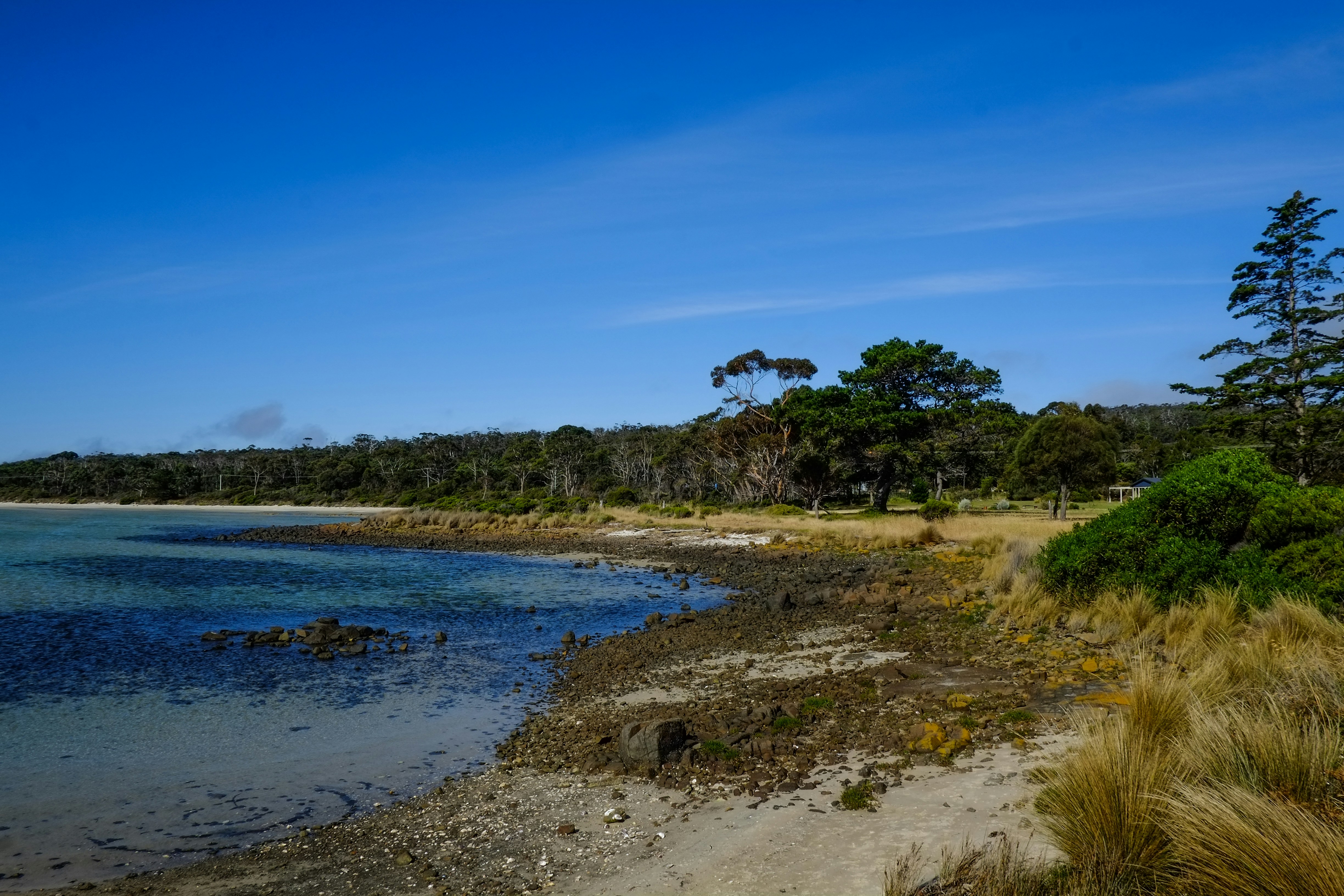 Tasmania (Bruny Island)