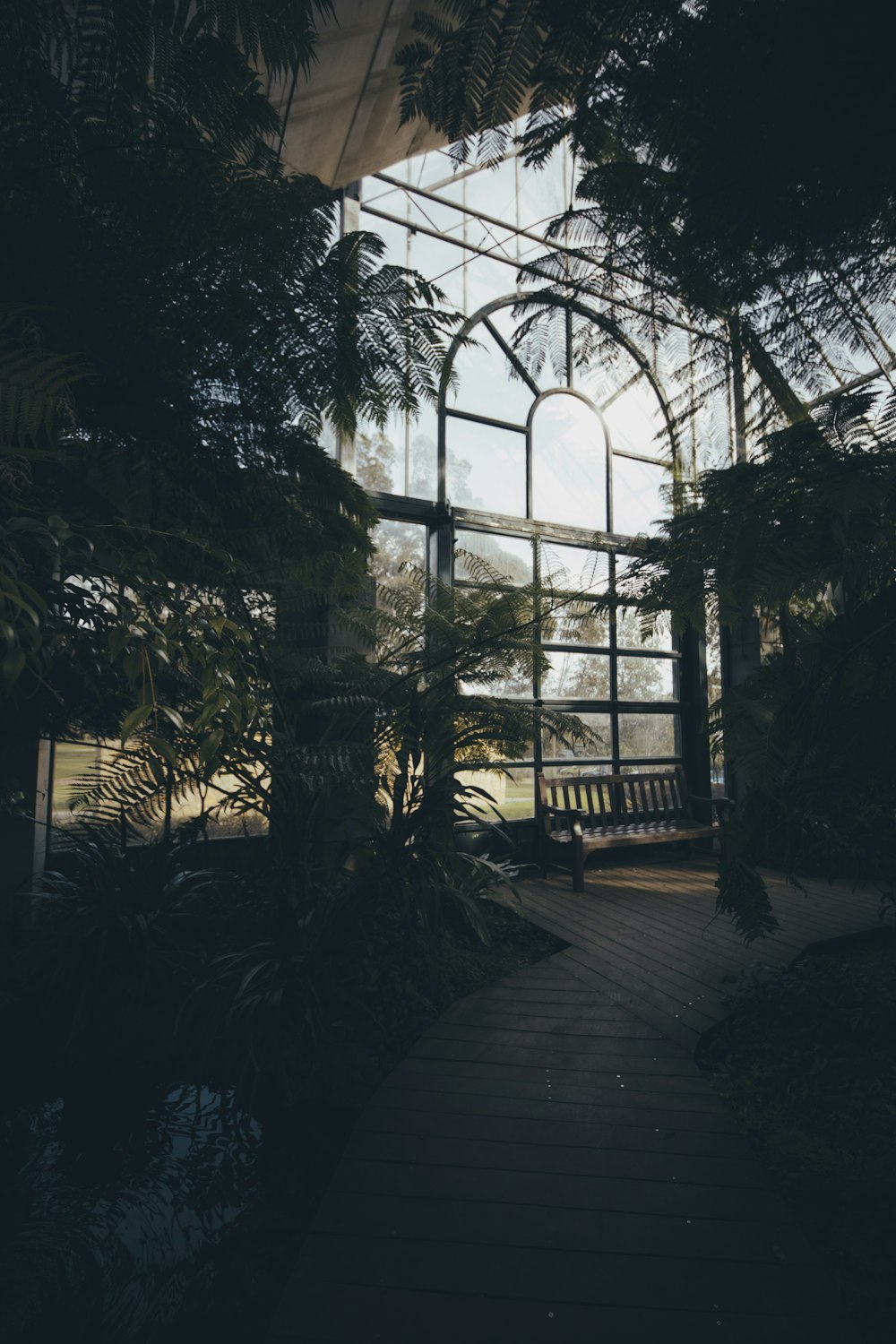 green leaf plants inside building