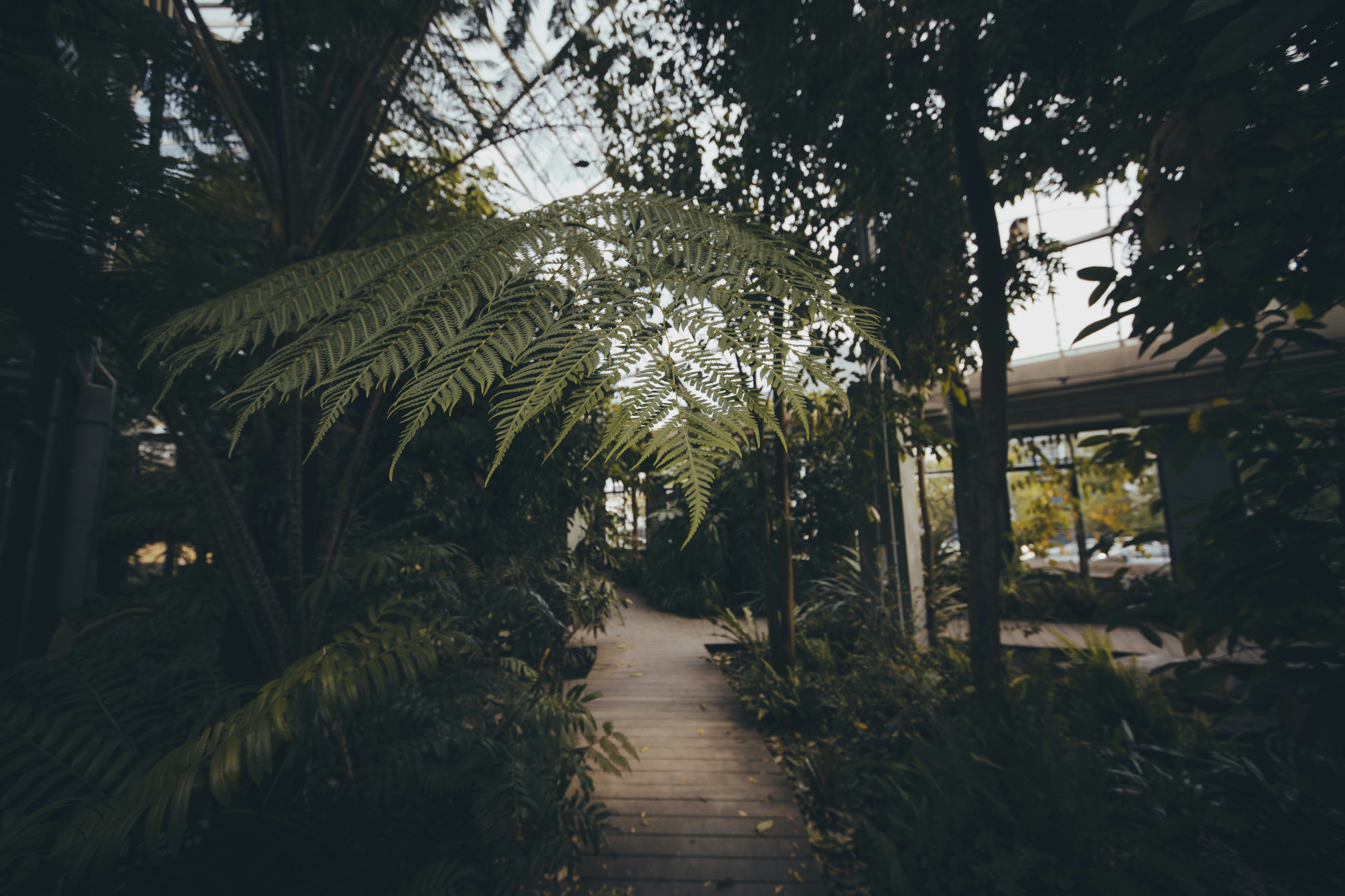 Photo by i_am_simoesse