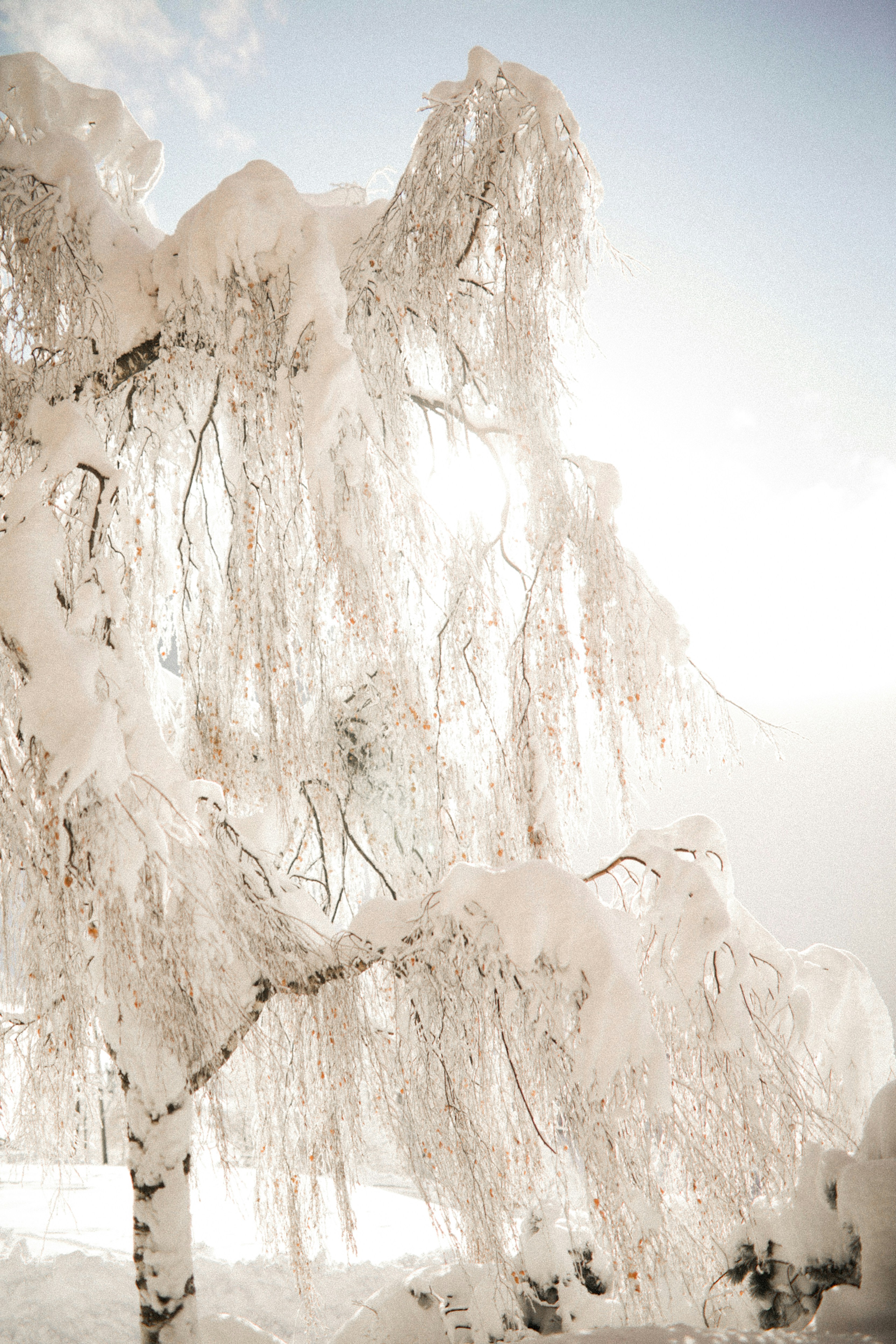 Photo by kajareichardtphotos