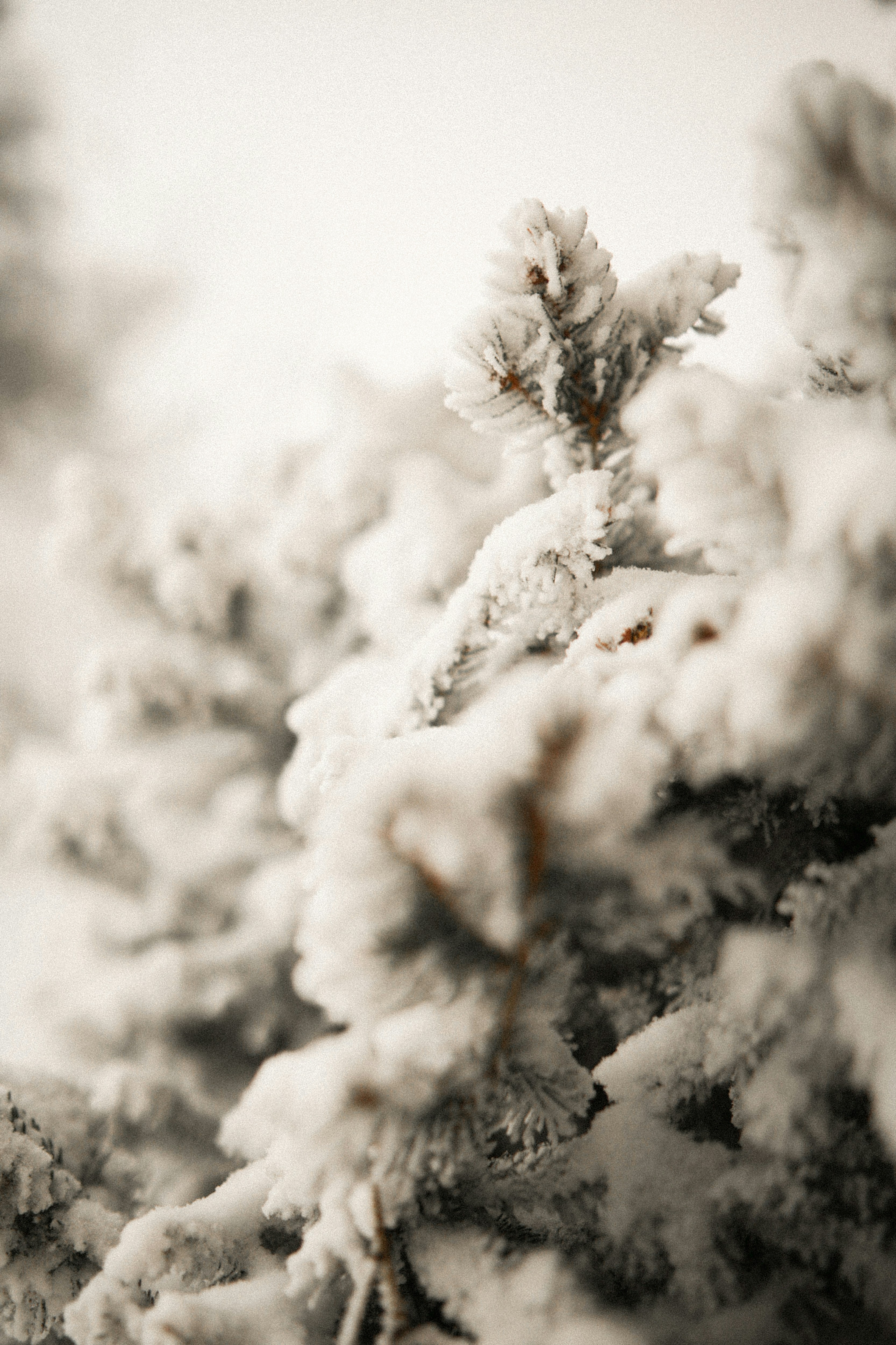 Photo by kajareichardtphotos