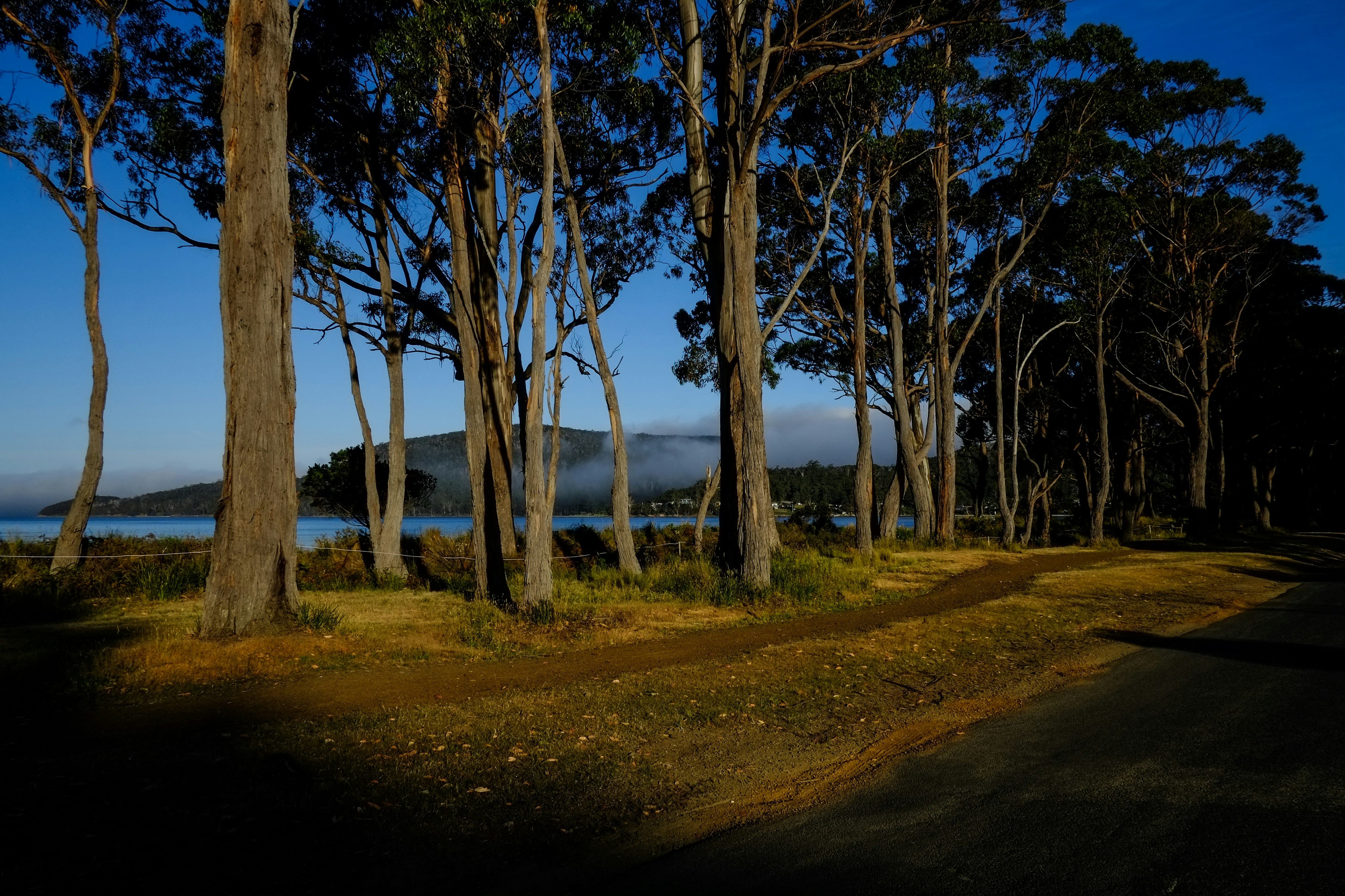 Photo by patricktravelist