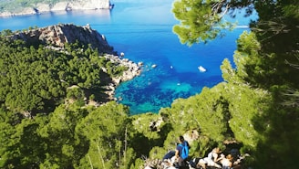 people on a cliff by a lake