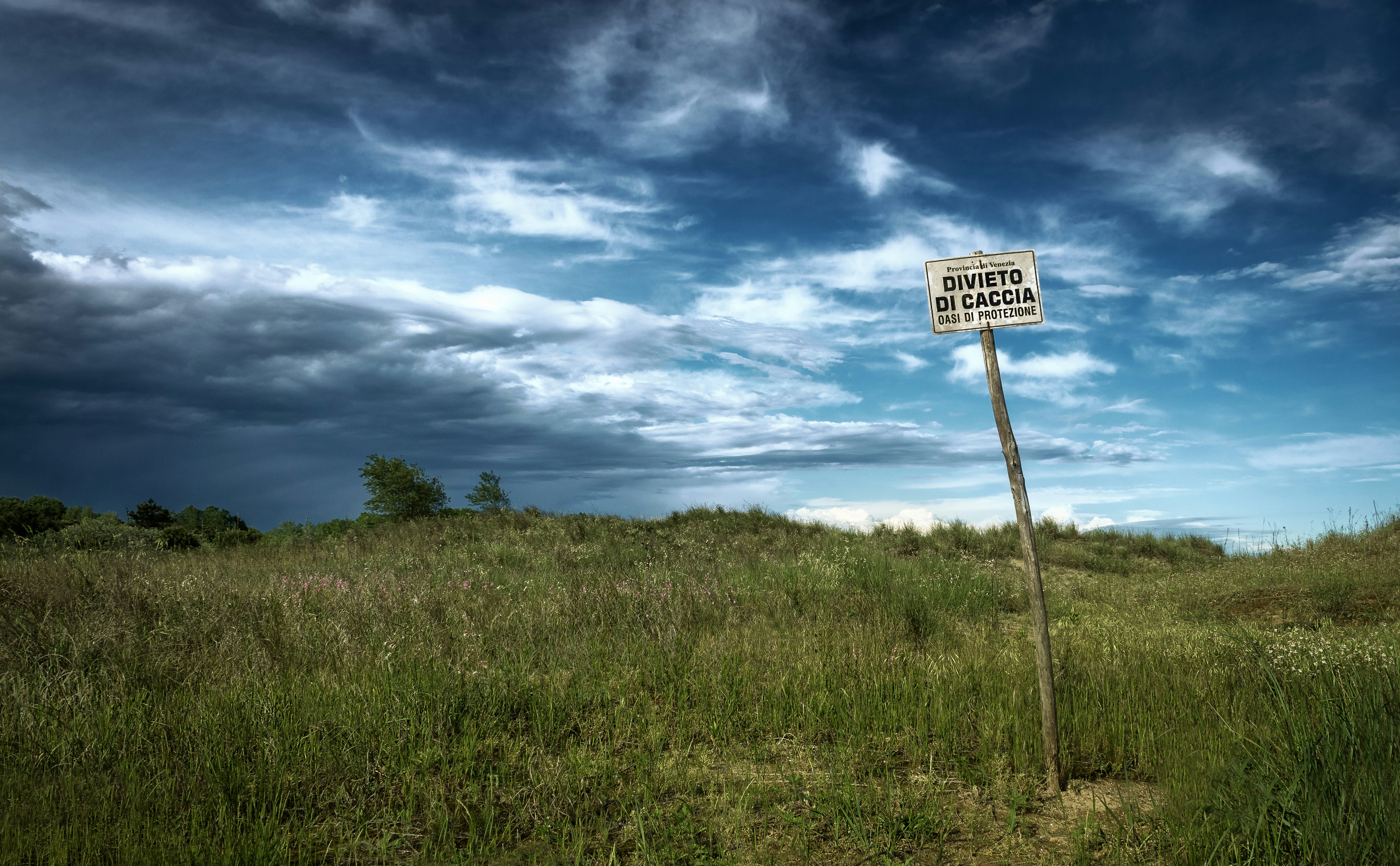 a road sign in a grassy field under a cloudy sky, Sign in the landscape