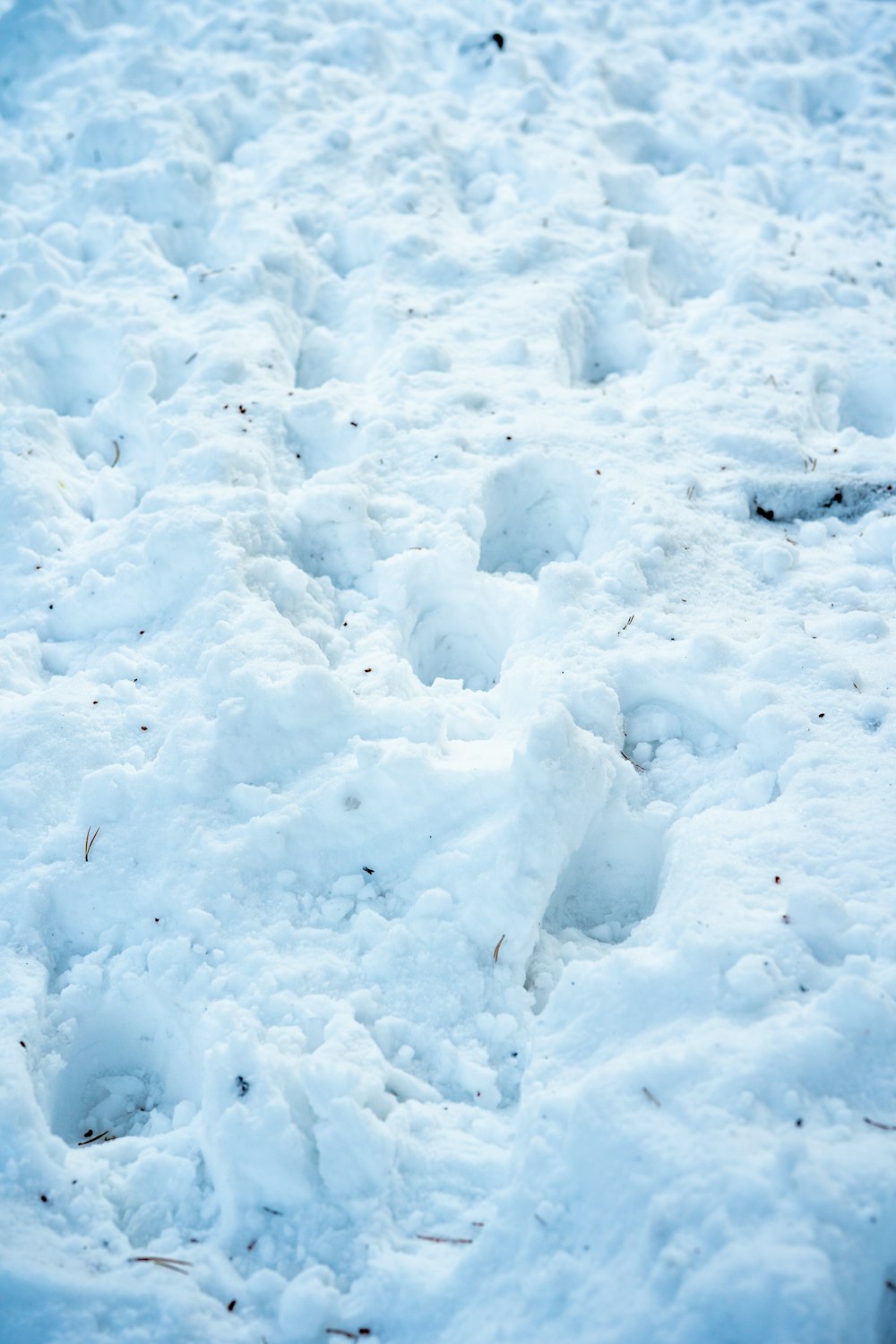 white snow on brown soil