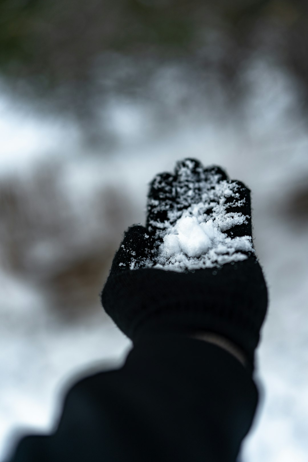 person in black winter gloves with snow on his hand