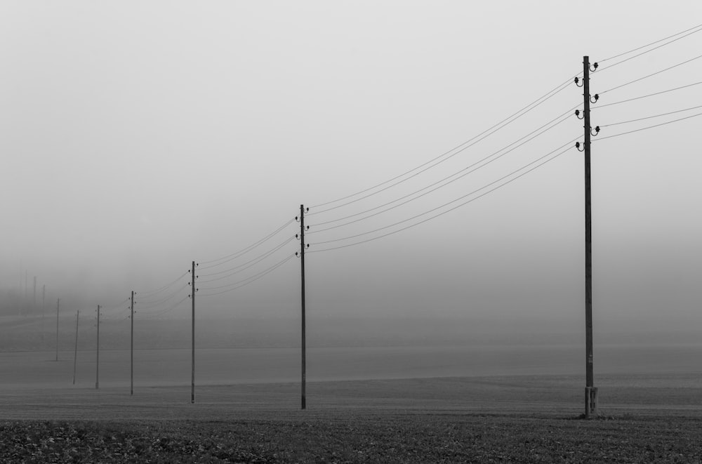 Postes eléctricos en el campo bajo el cielo blanco