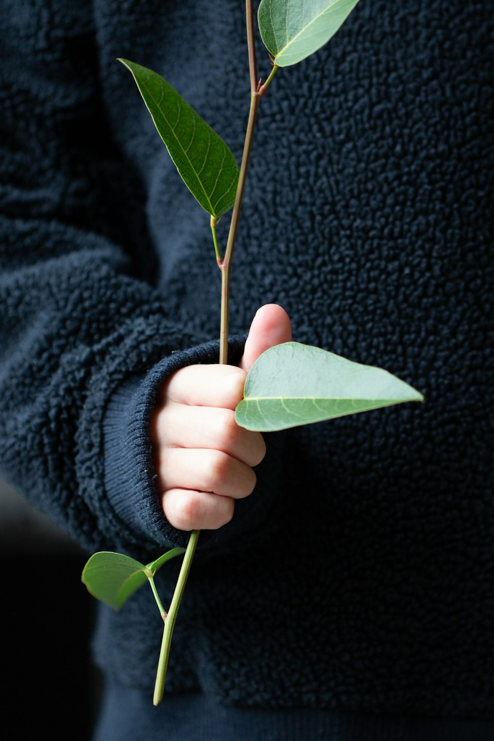 person holding green leaf on black textile