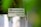 A sign attached to a door or wall states 'NO ADVERTISING MATERIAL ACCEPTED Thank You!' with a background partially obscured by green leaves, creating a soft focus effect.