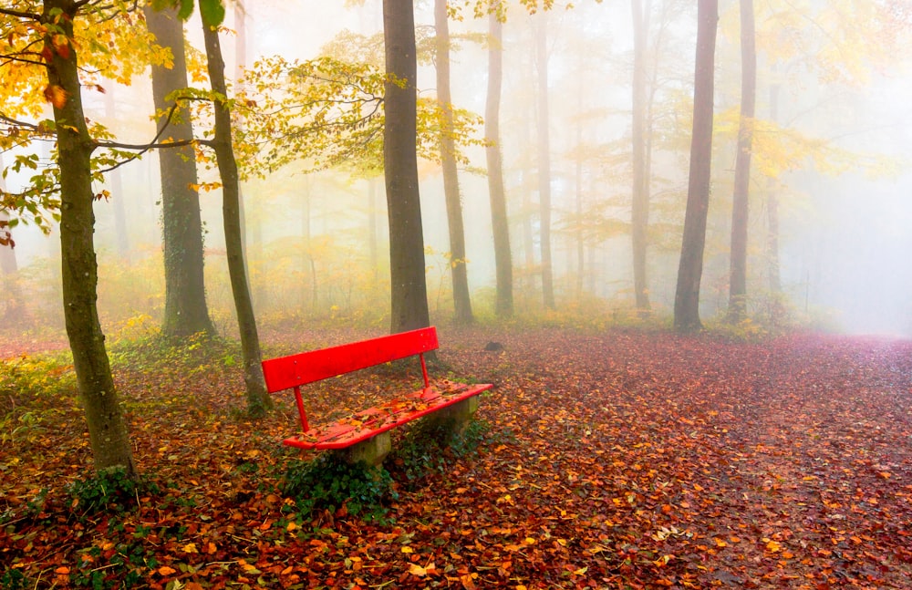 brown wooden bench surrounded by trees during daytime