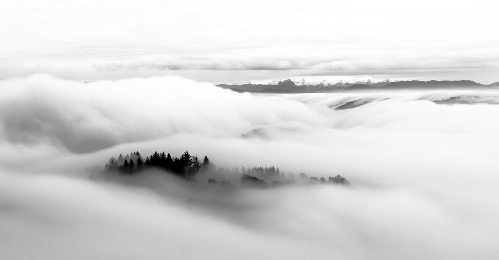 grayscale photo of trees and mountains