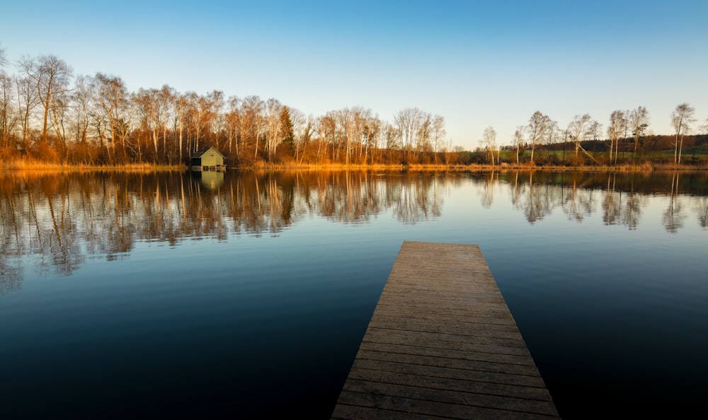 brown wooden dock on lake during daytime