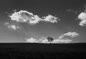 A minimalist landscape photo in black and white, showing a lone tree against a vast sky