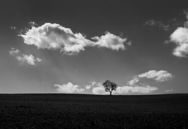 Minimalist black and white image of a lone tree standing in an open field under a cloudy sky.