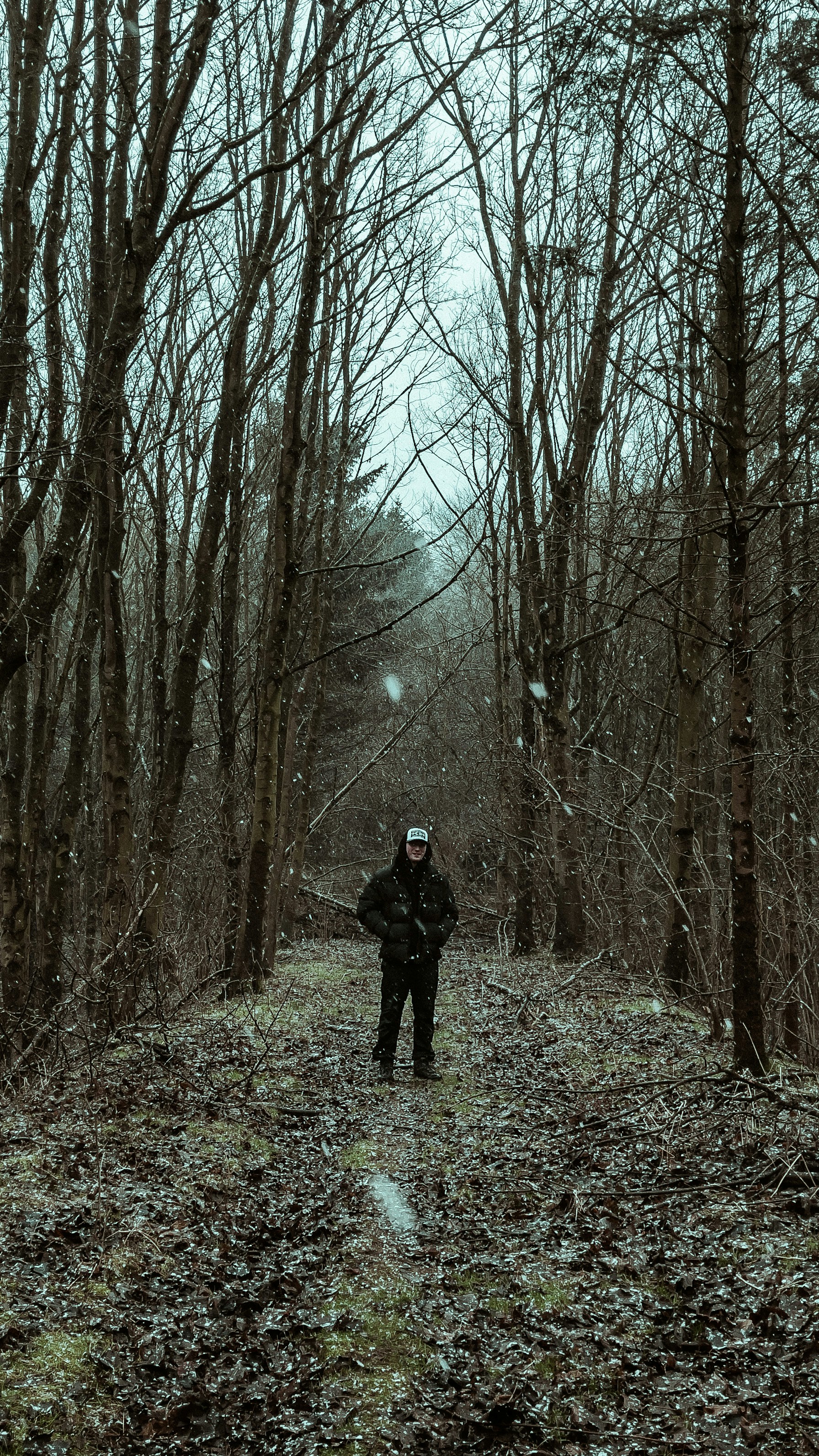 Photo by bradstarkey