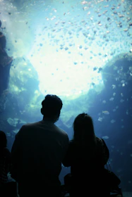 A couple sharing a quiet moment underwater surrounded by colorful fish.