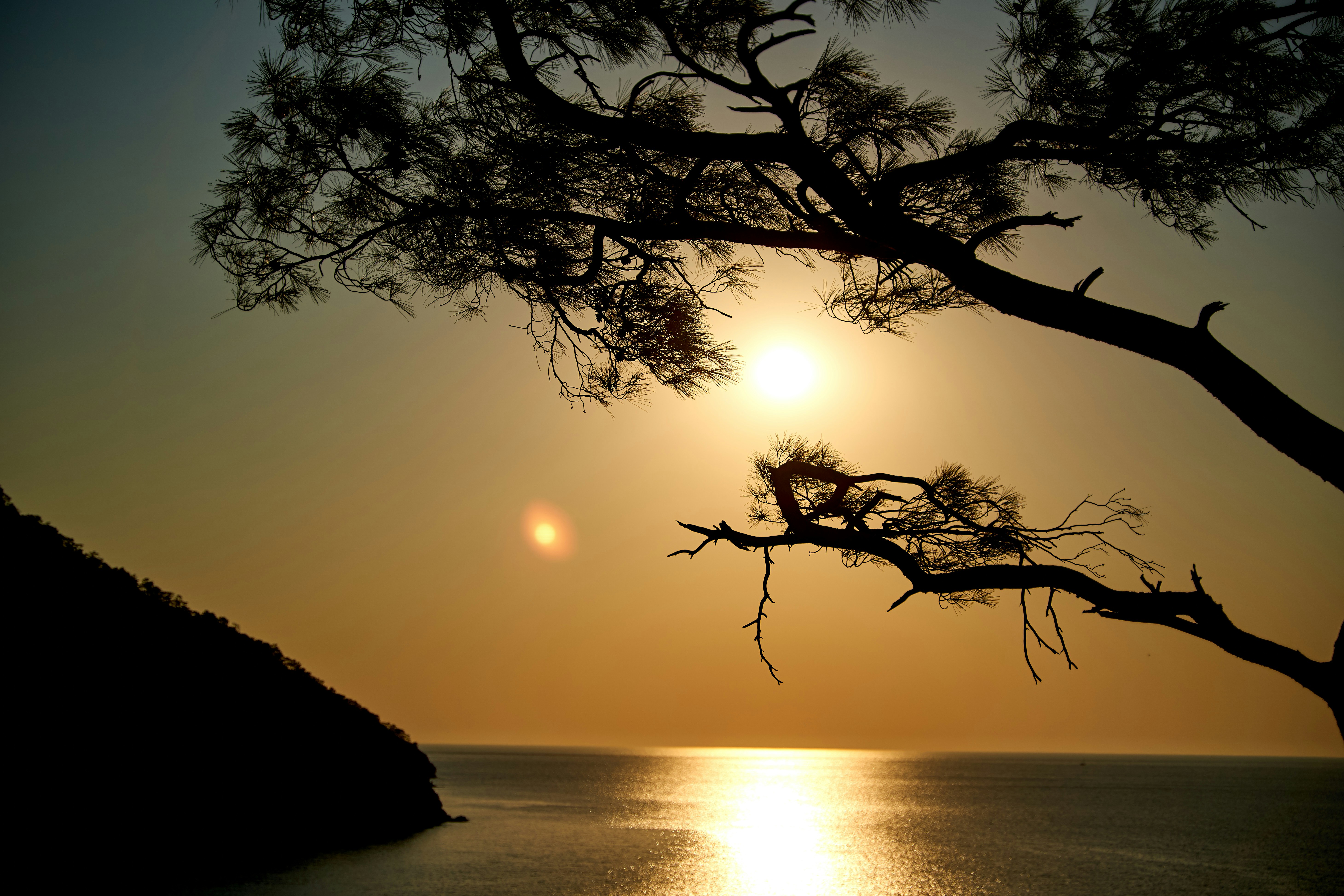 Photo by raimondklavins