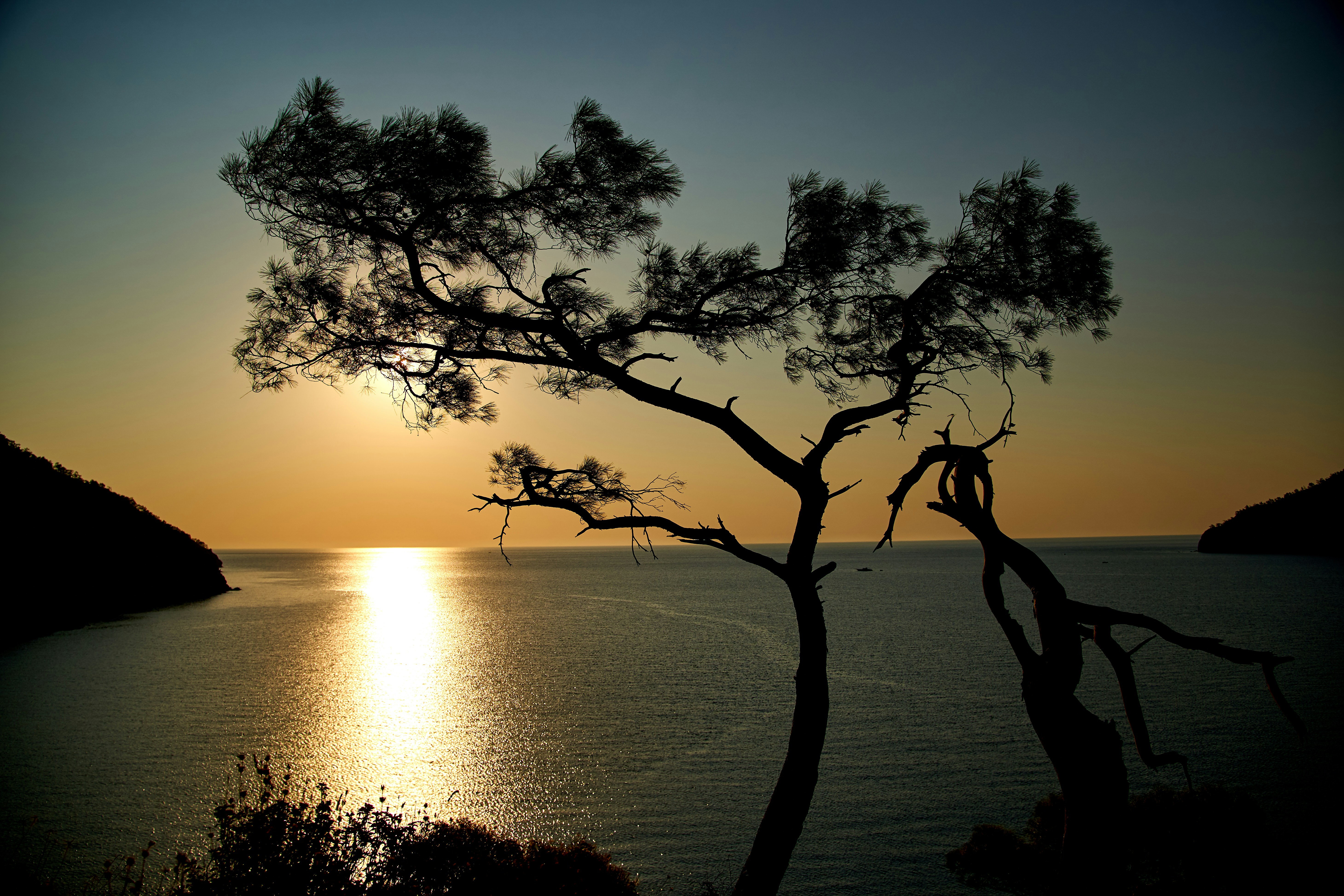 Photo by raimondklavins