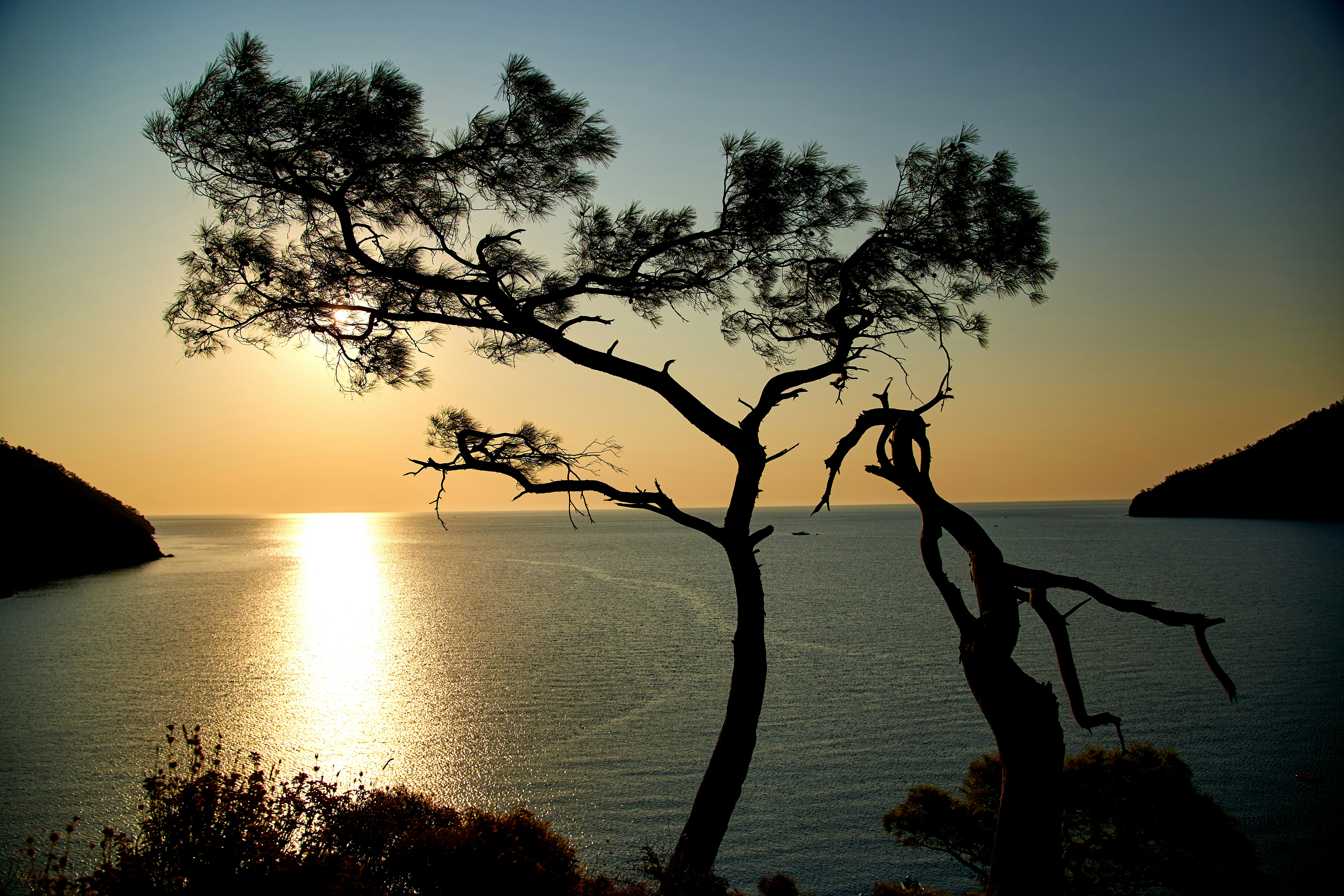 Photo by raimondklavins