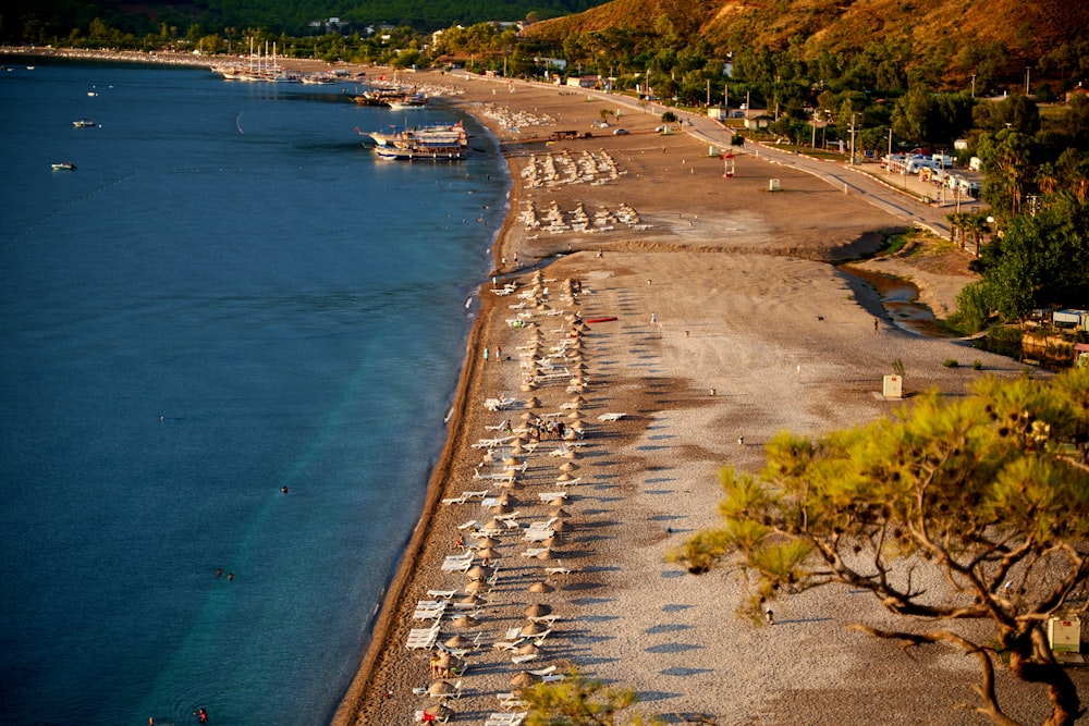 aerial view of people on beach during daytime