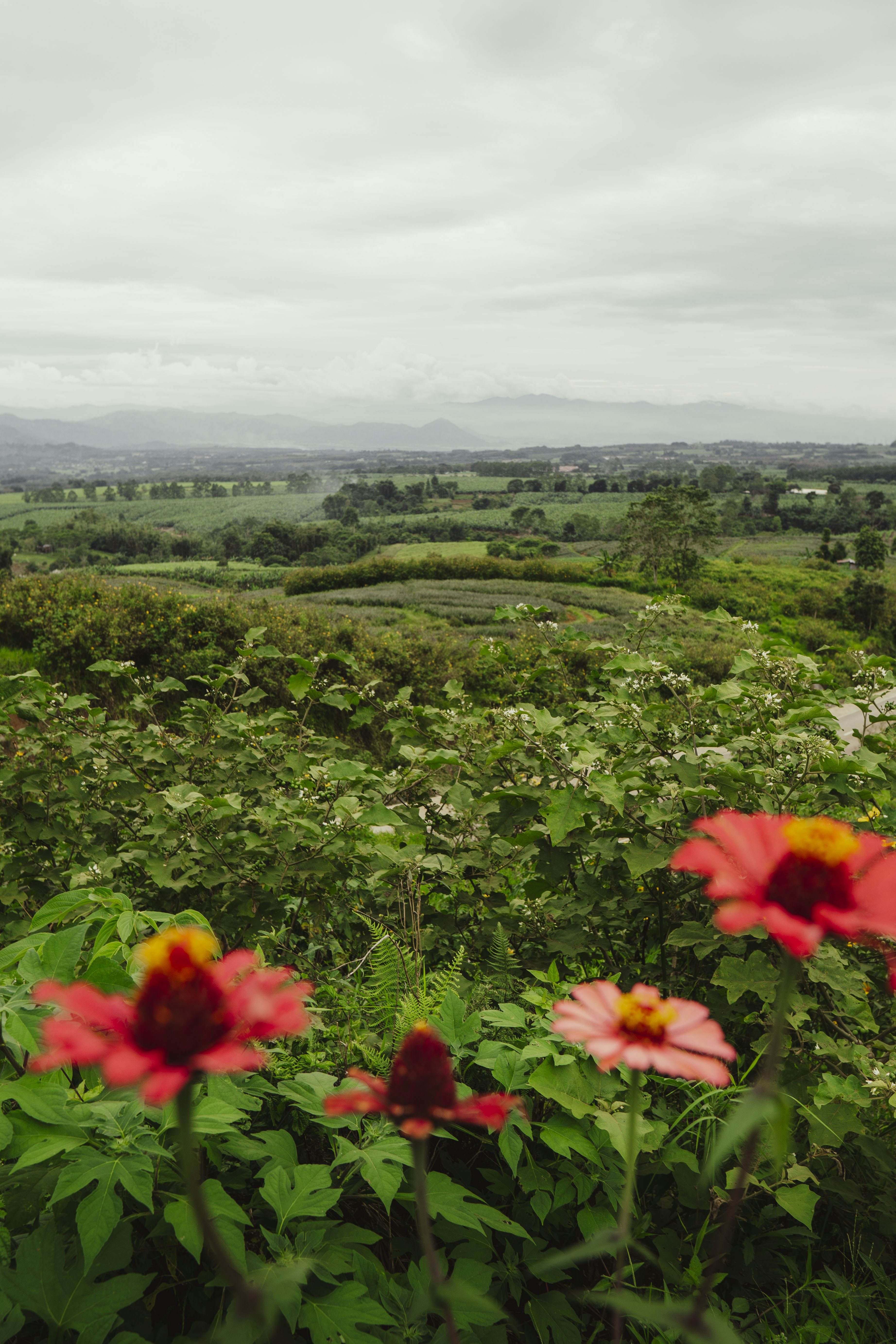 Photo by densauxsoy
