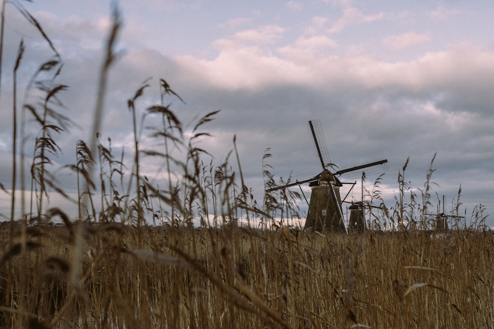 wind turbines on brown grass field during daytime