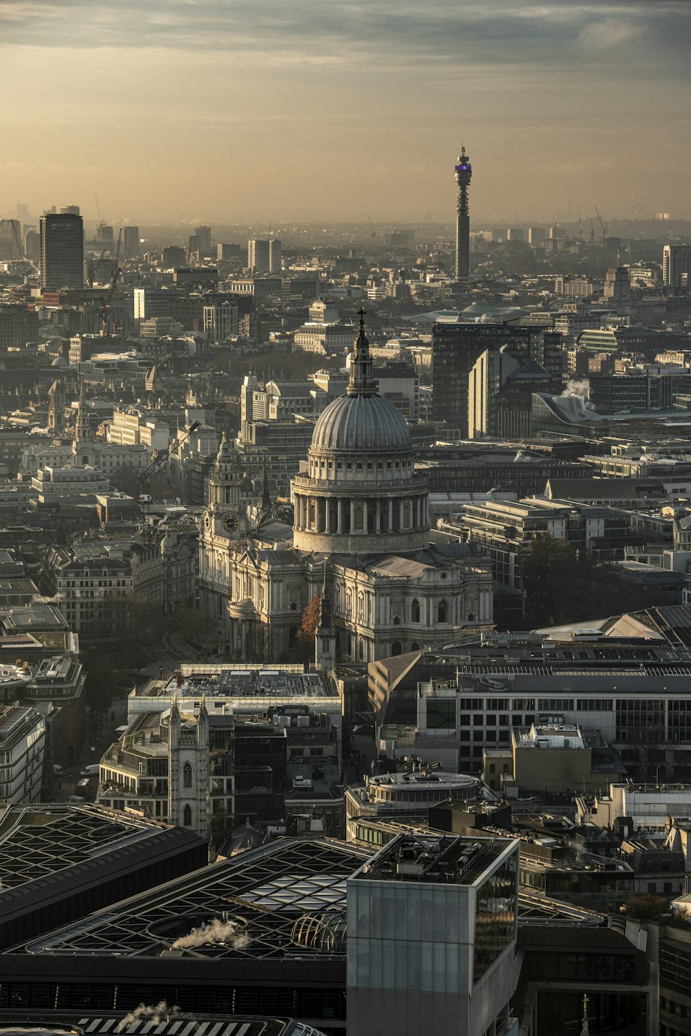 aerial view of city buildings during daytime