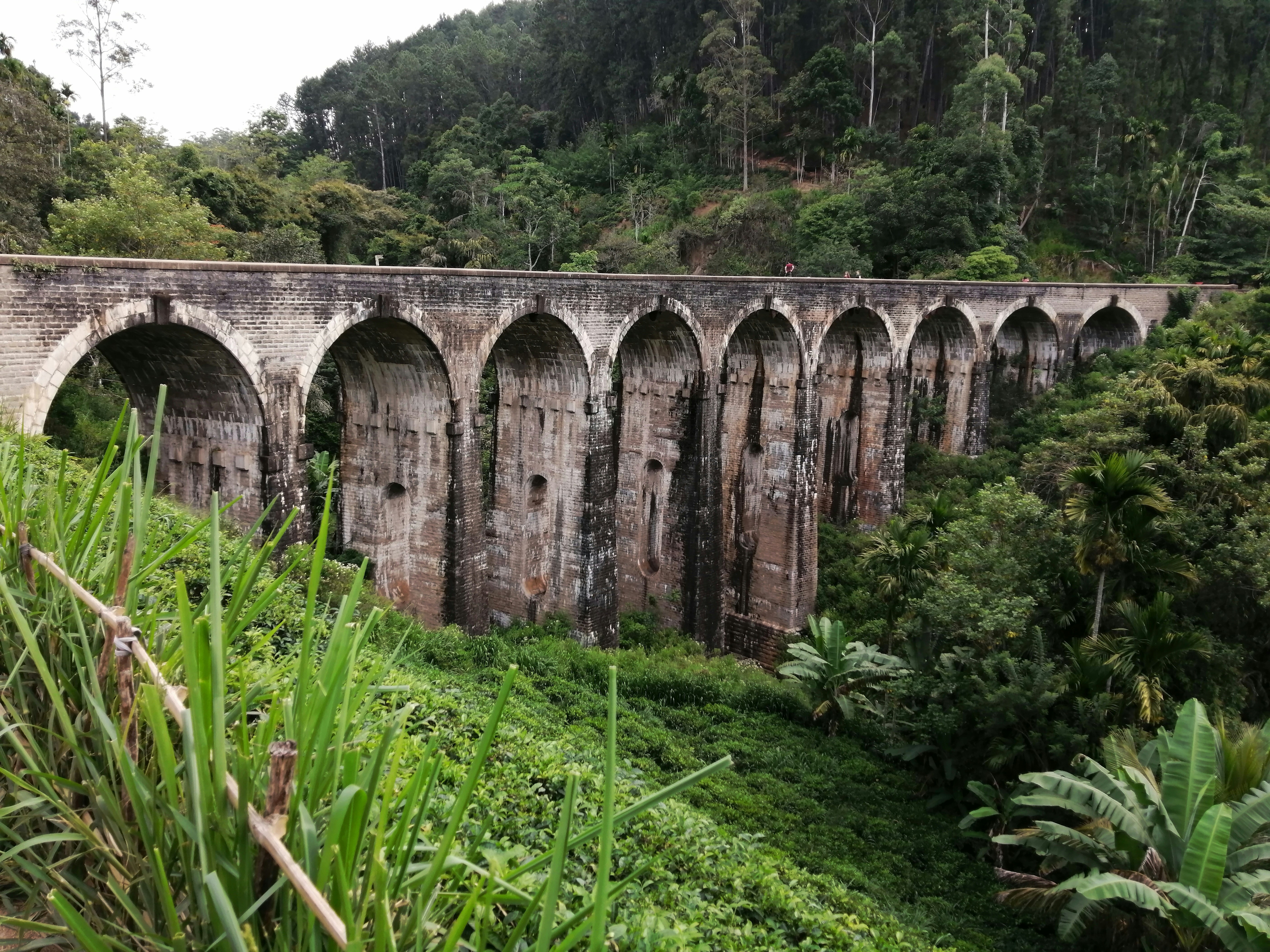 Photo by _picsby_ahal