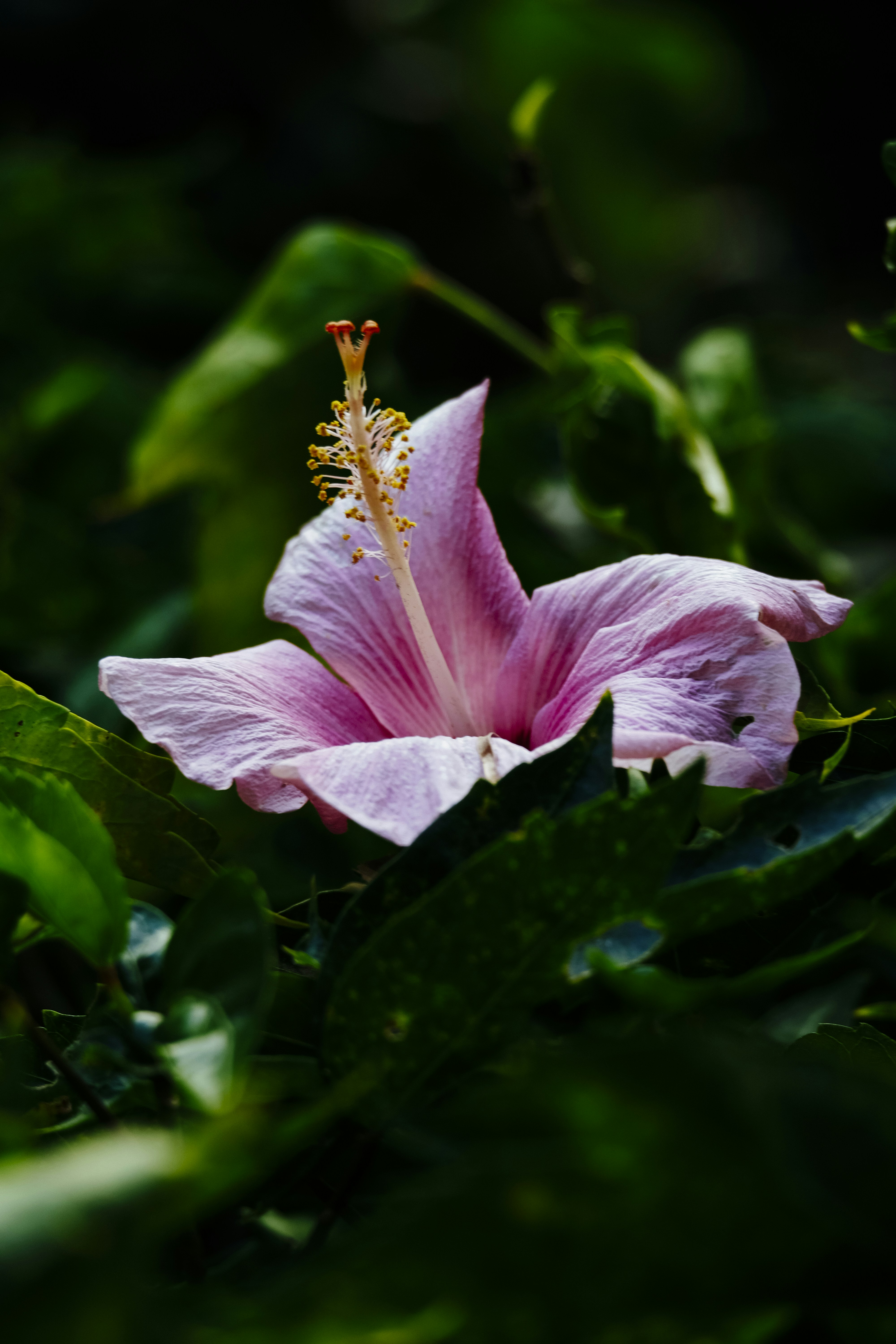 Photo by skaterlunatic