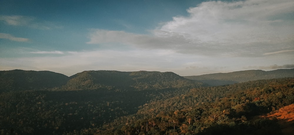 green trees on mountain under blue sky during daytime