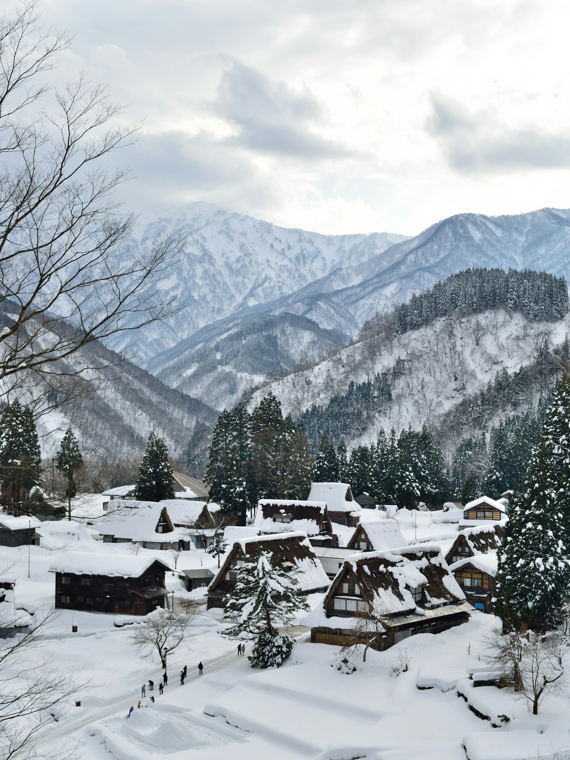 What to See in Toyama: A Guide to Natural Beauty and Rich Culture
