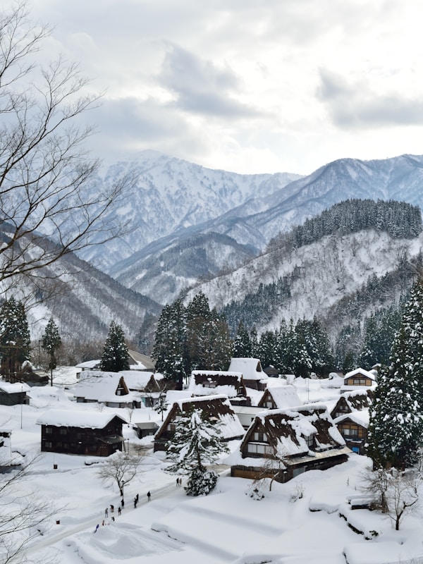What to See in Toyama: A Guide to Natural Beauty and Rich Culture