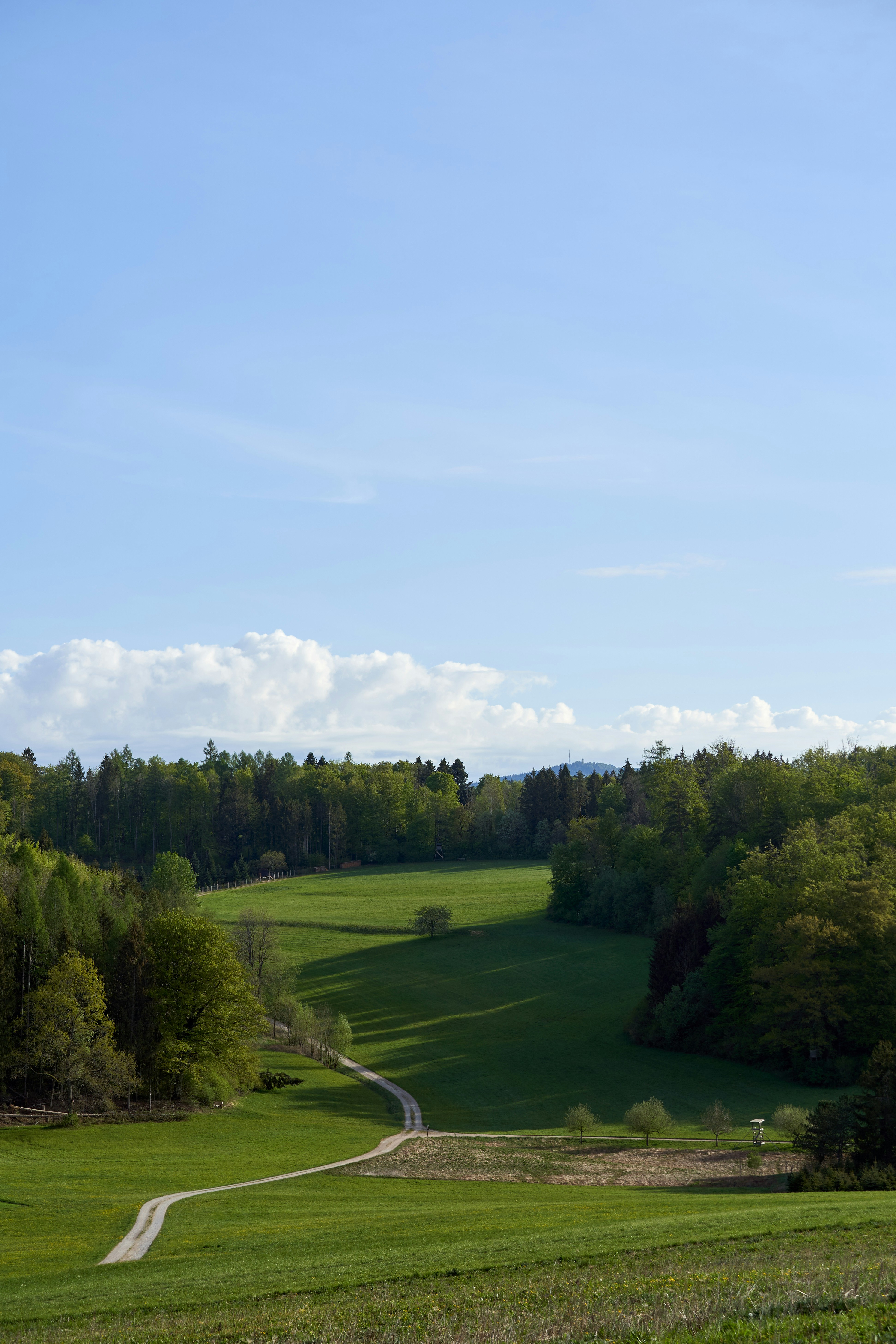 Photo by wolfgang_hasselmann