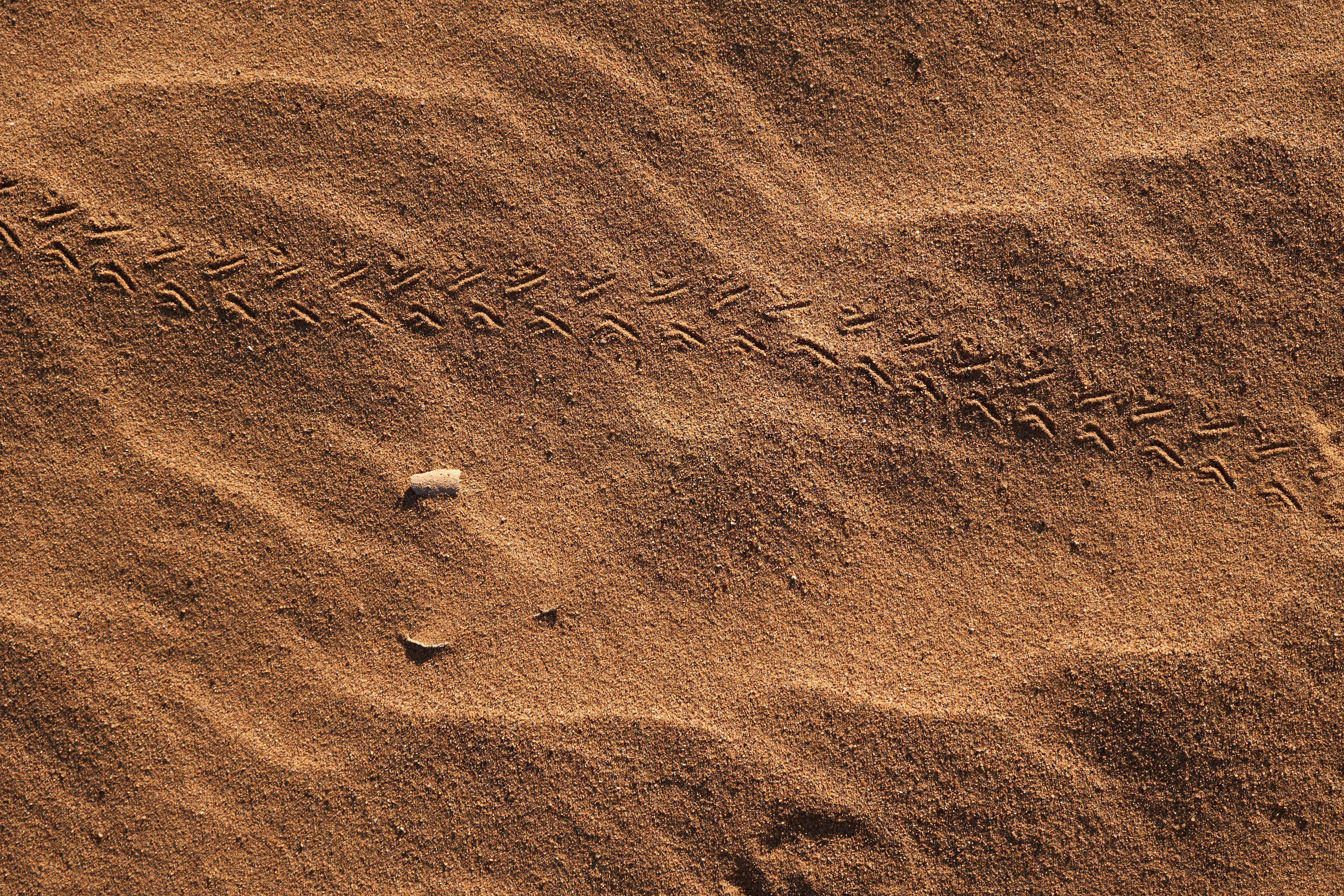 white stone on brown sand