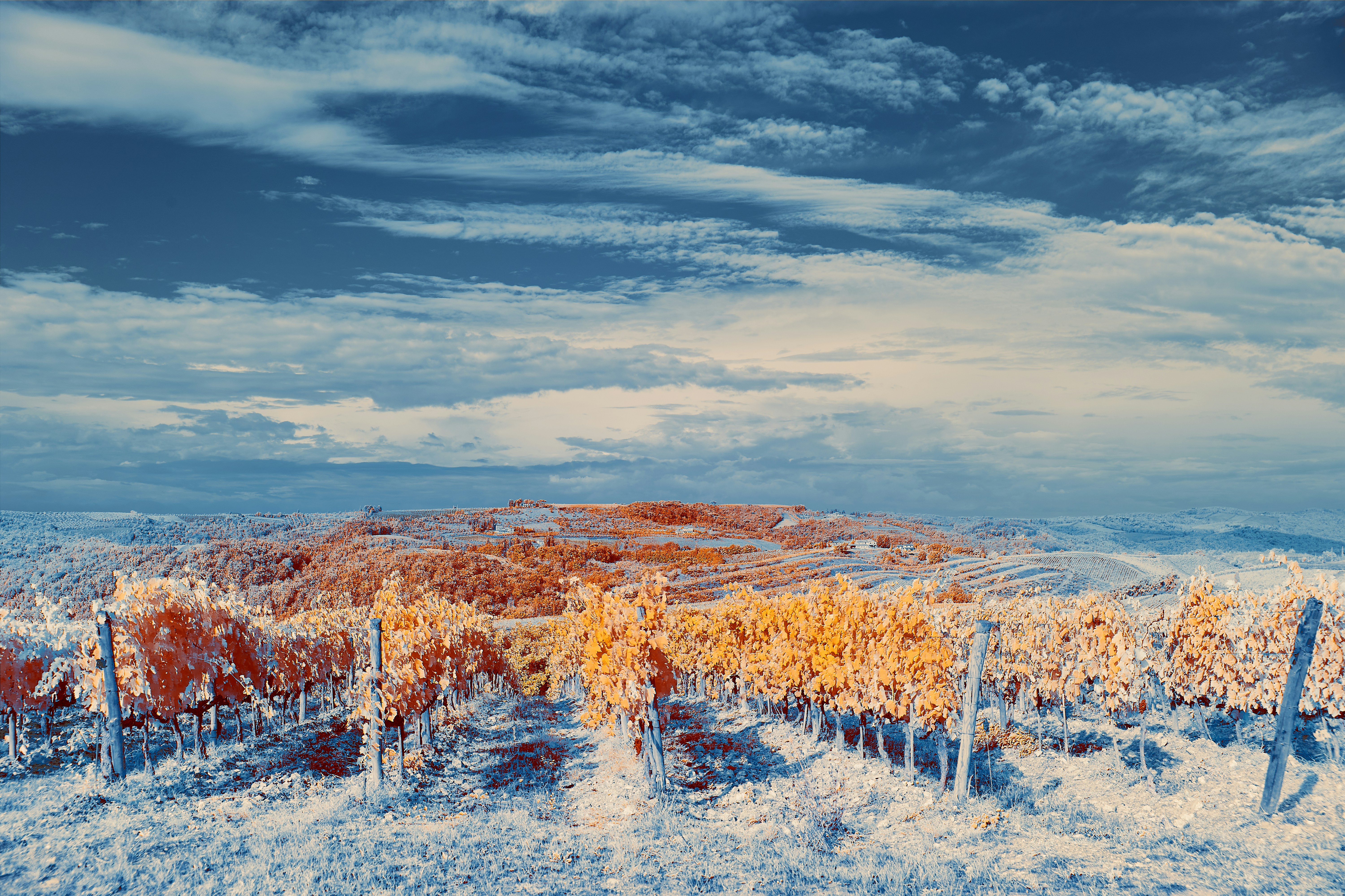 Brown grass field under cloudy sky during daytime