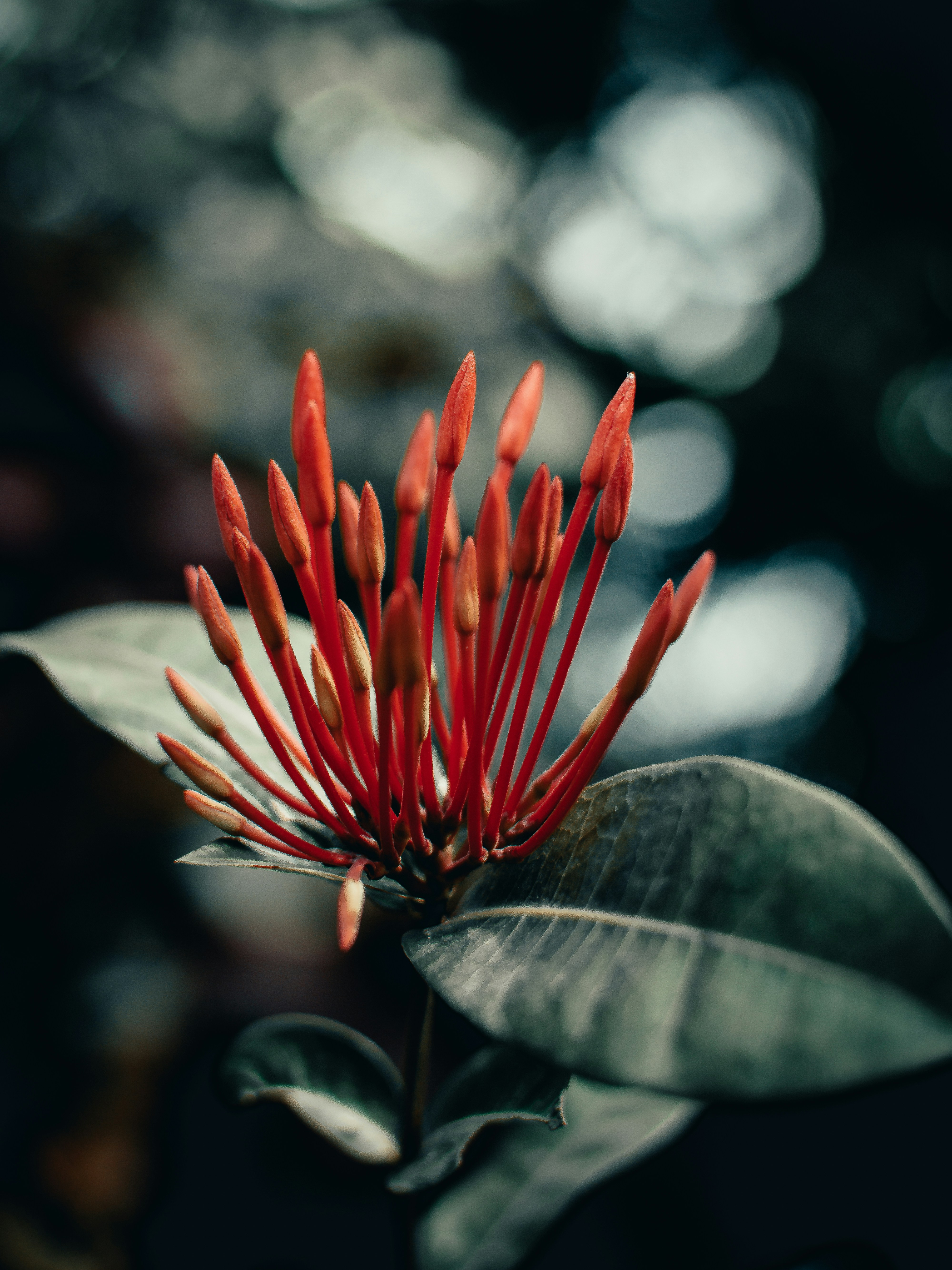 Photo by nishaan_ahmed