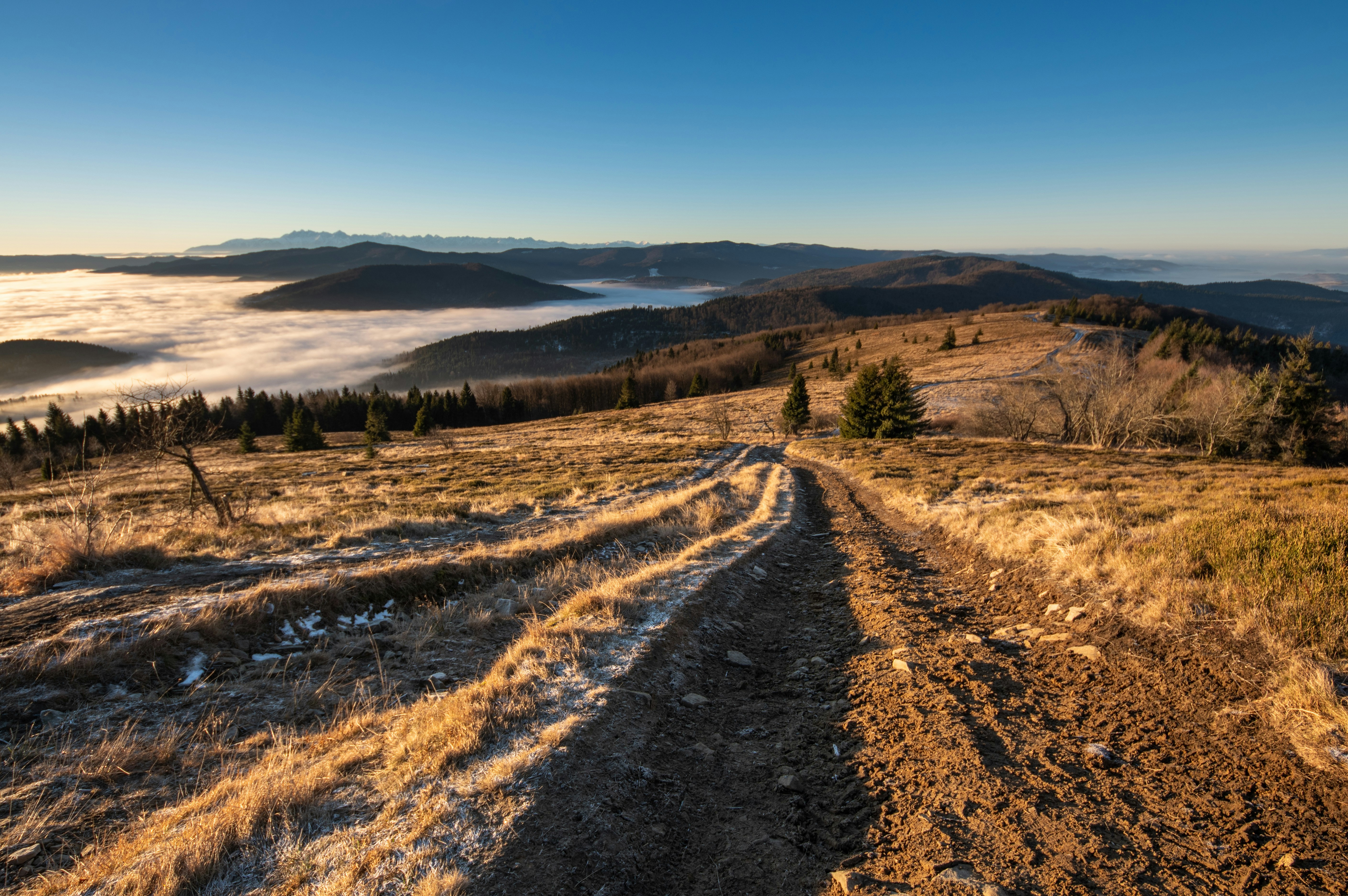 brown grass field near body of water during daytime
