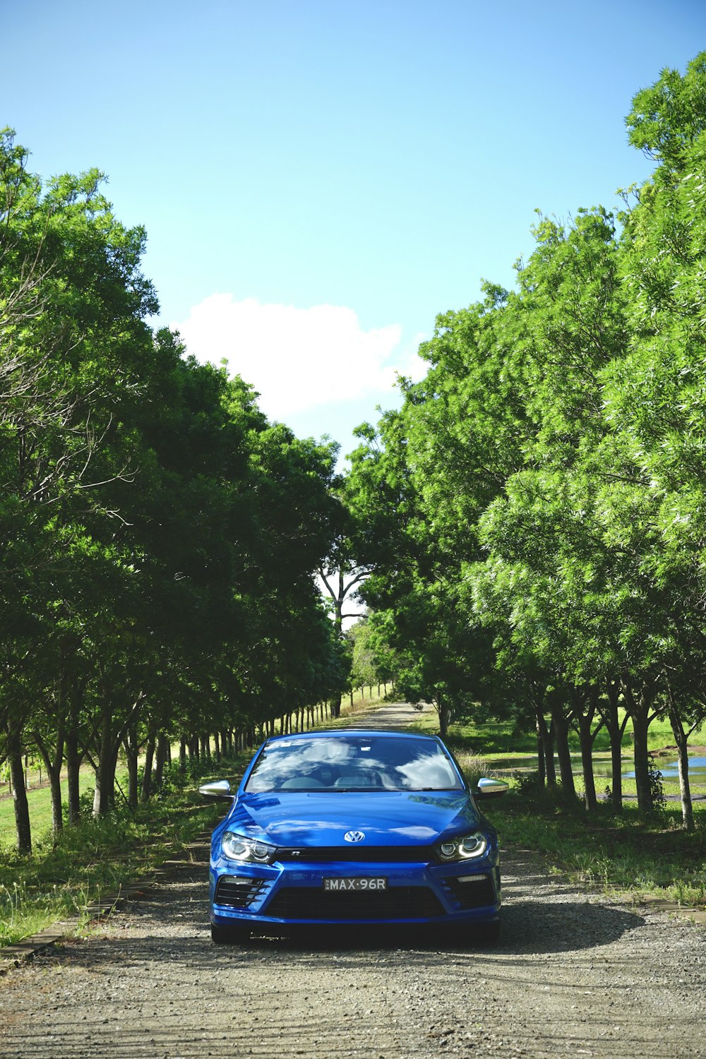 Coche azul aparcado cerca de árboles verdes durante el día