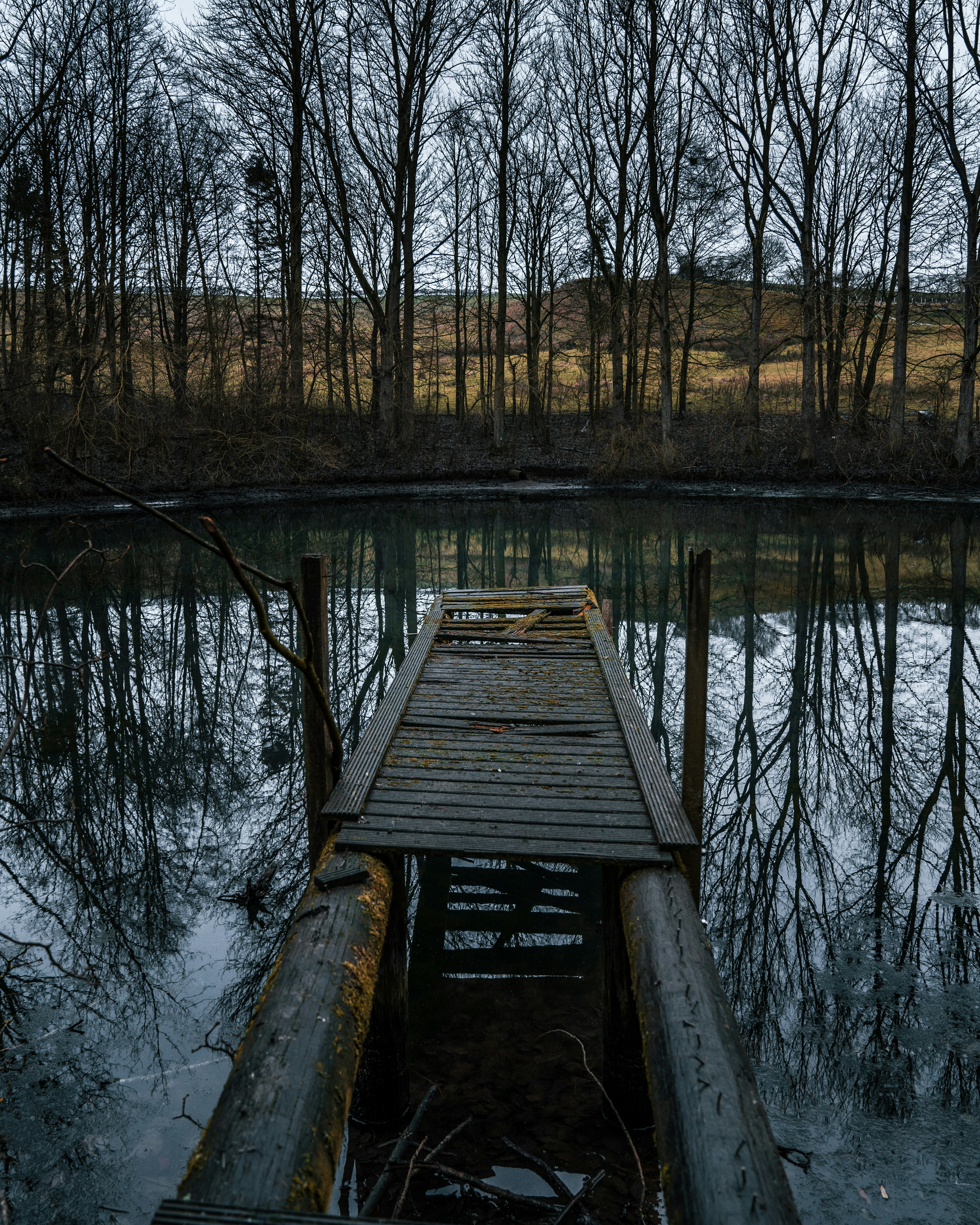 Photo by bradstarkey