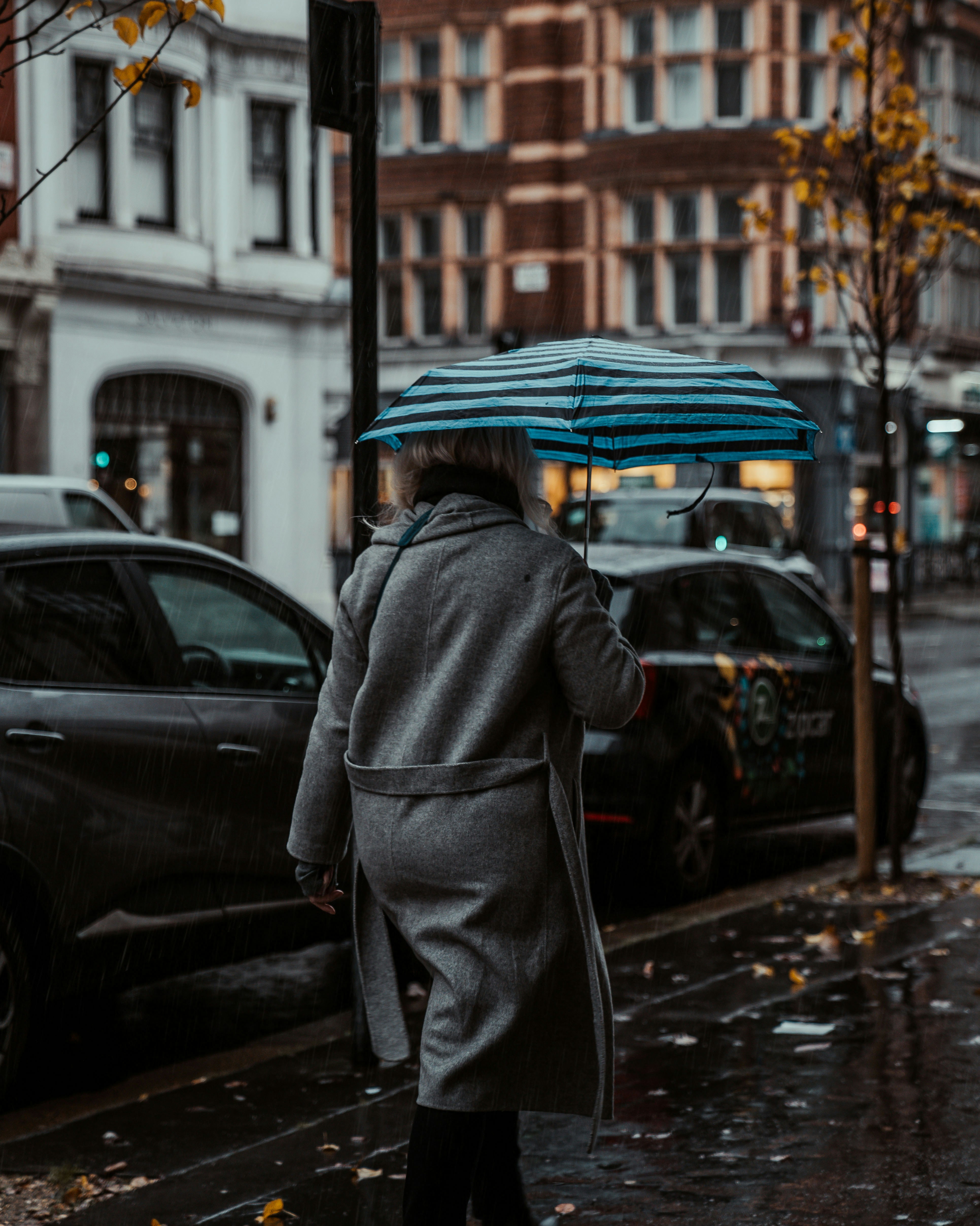 Photo by bradstarkey