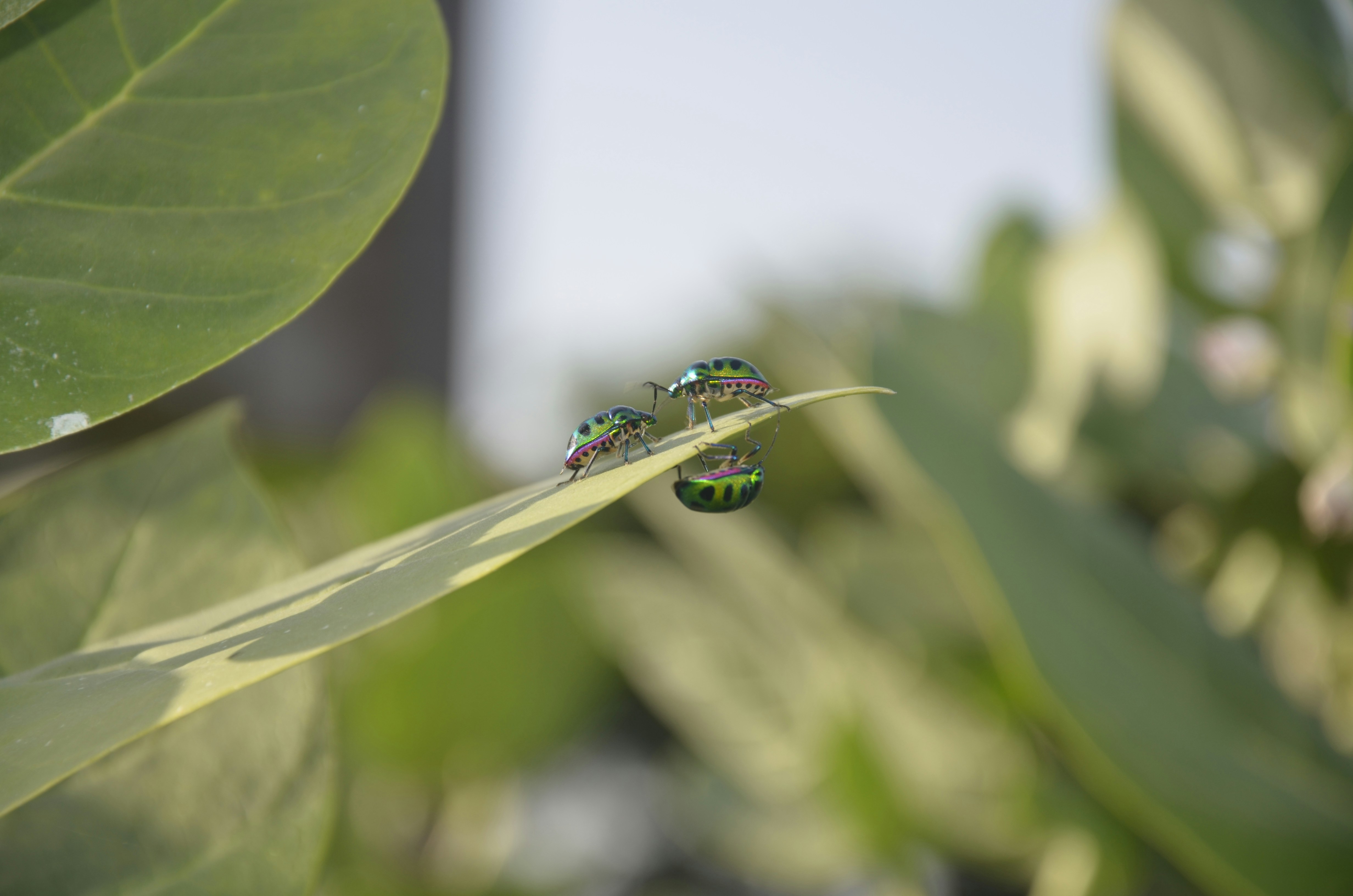 Photo by chetanverma123