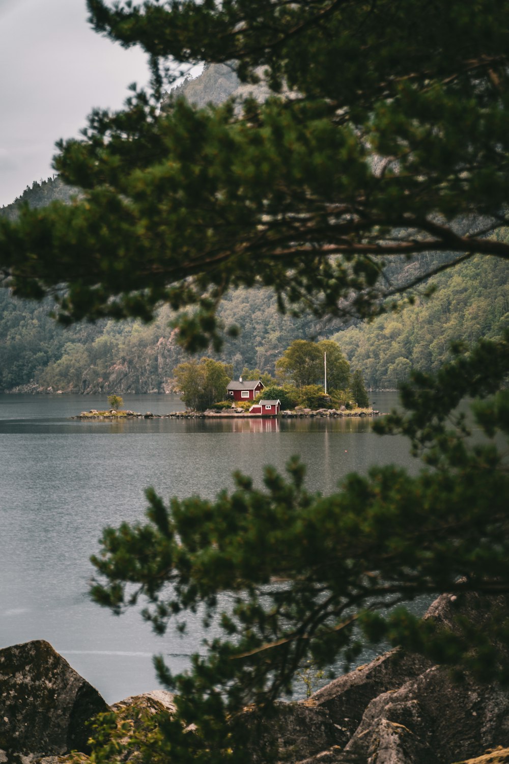 green trees near body of water during daytime