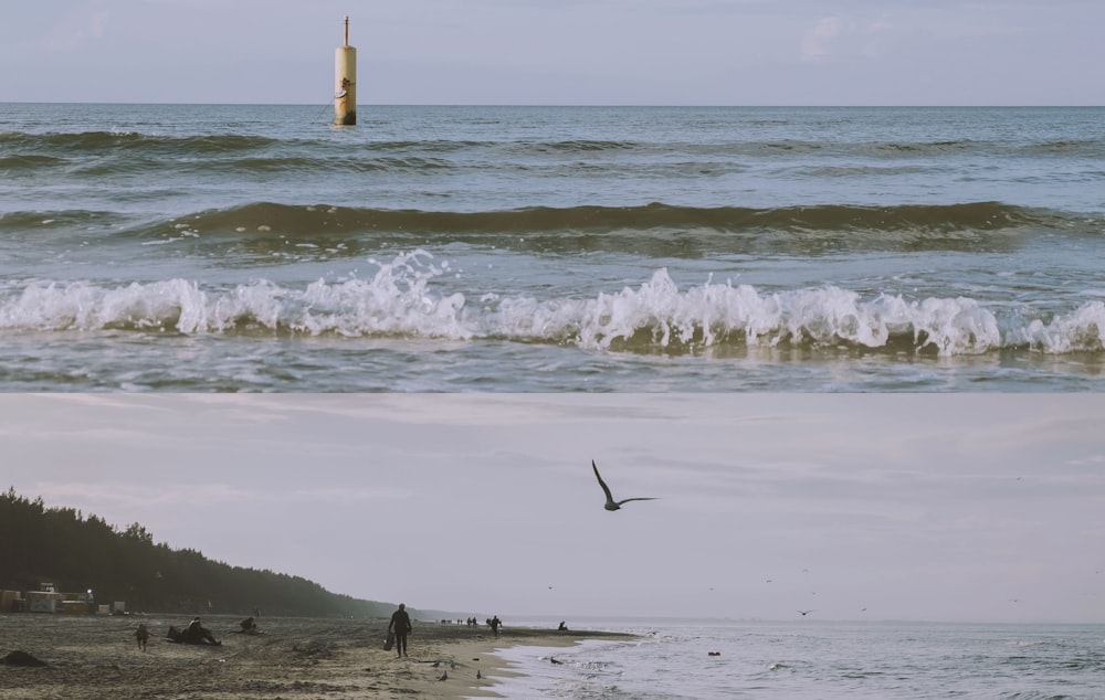 birds flying over the sea during daytime