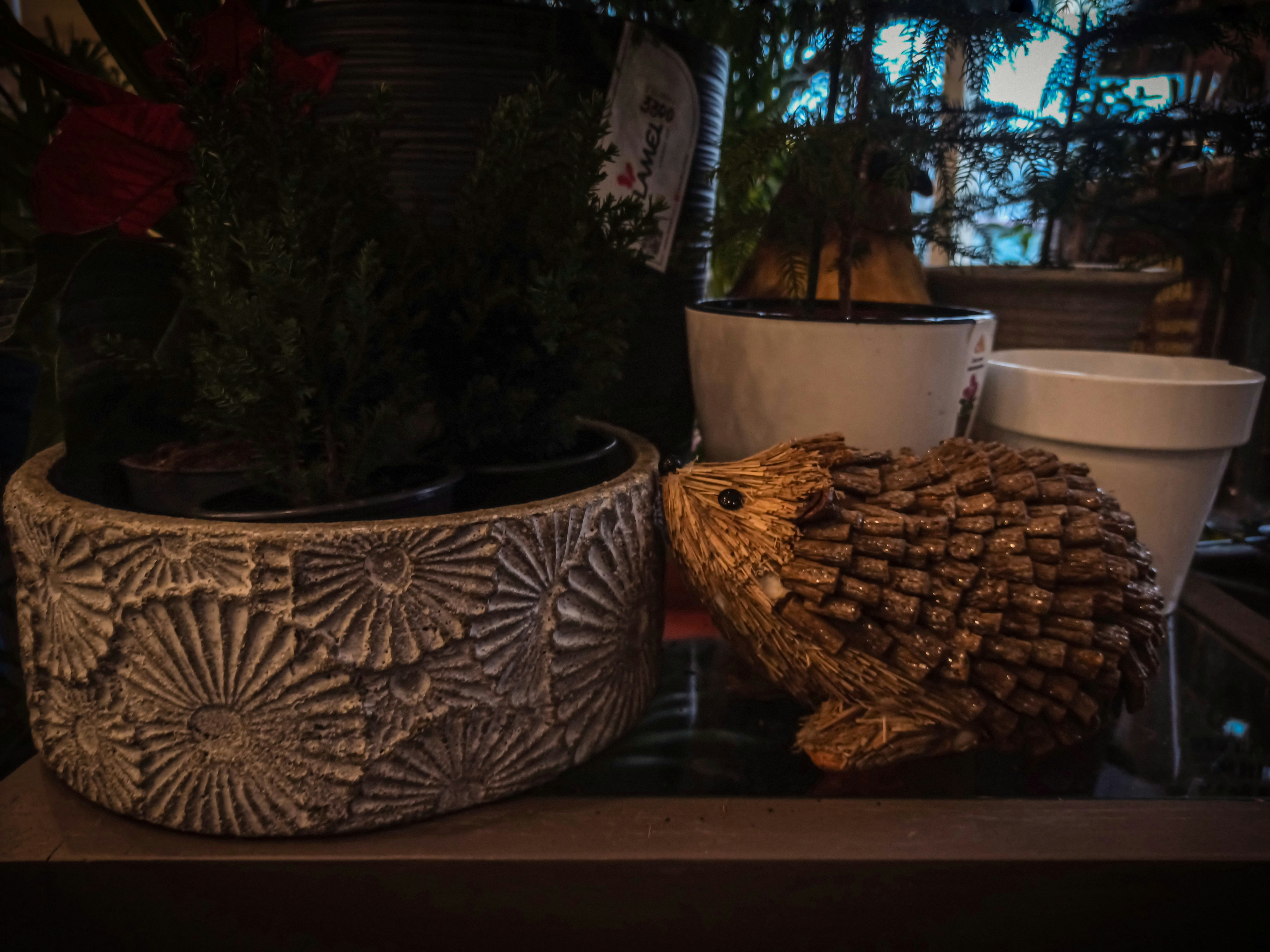 Happy Hedgehog Planter