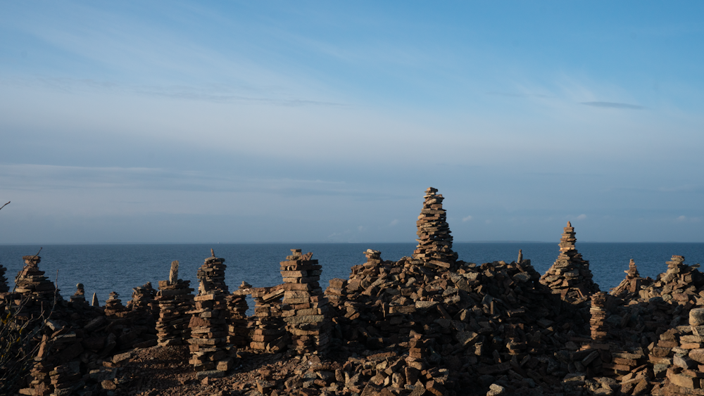 brown rocks on the beach during daytime