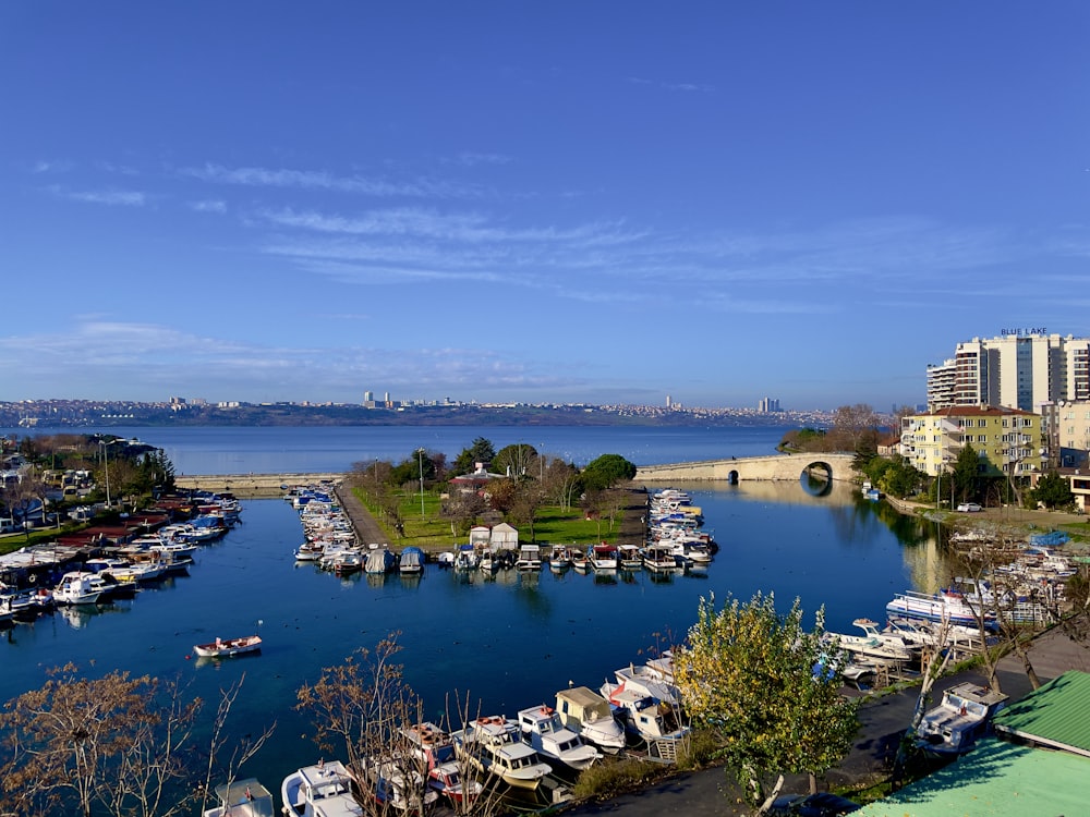 aerial view of body of water during daytime